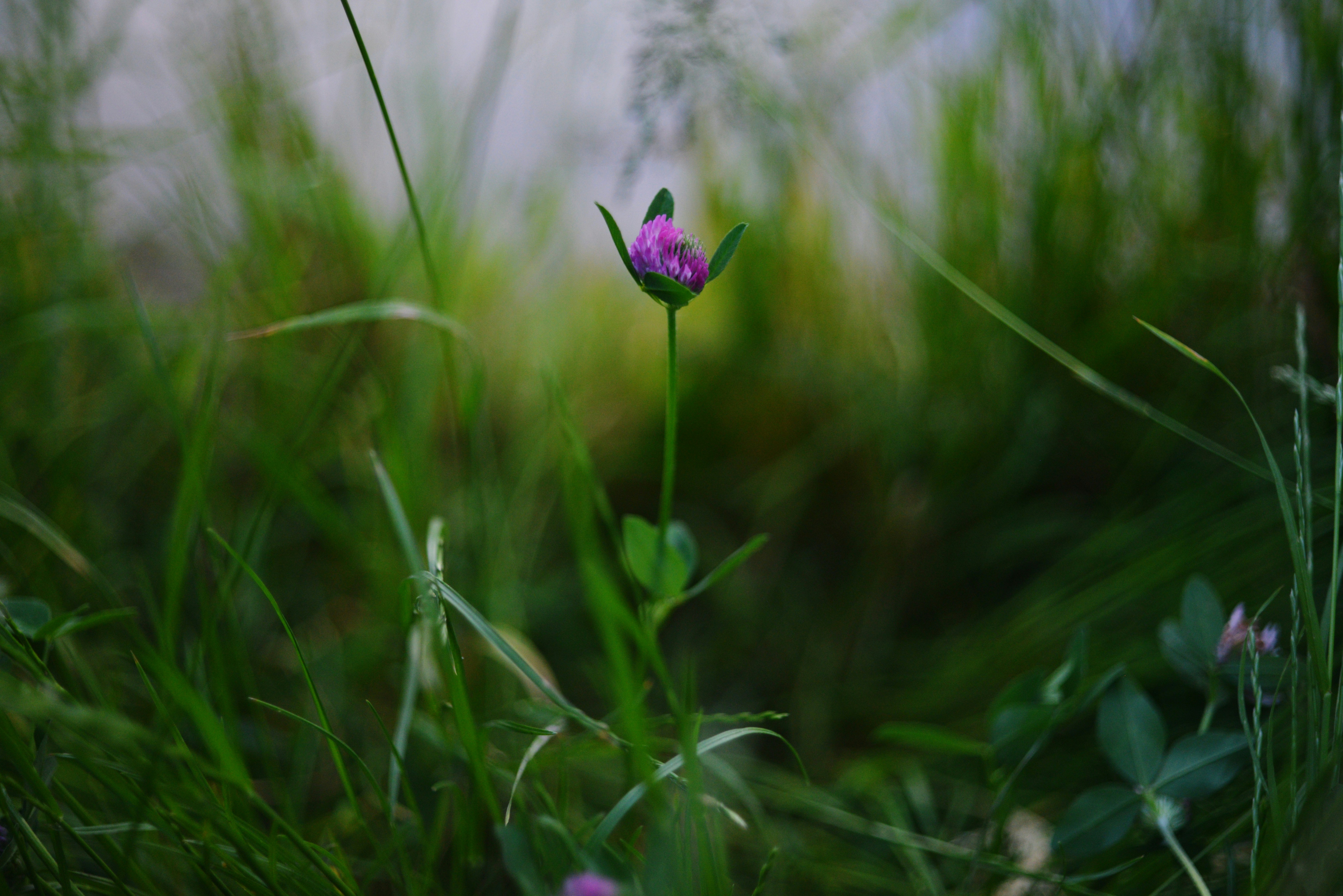 Photo by cherstve_pechivo