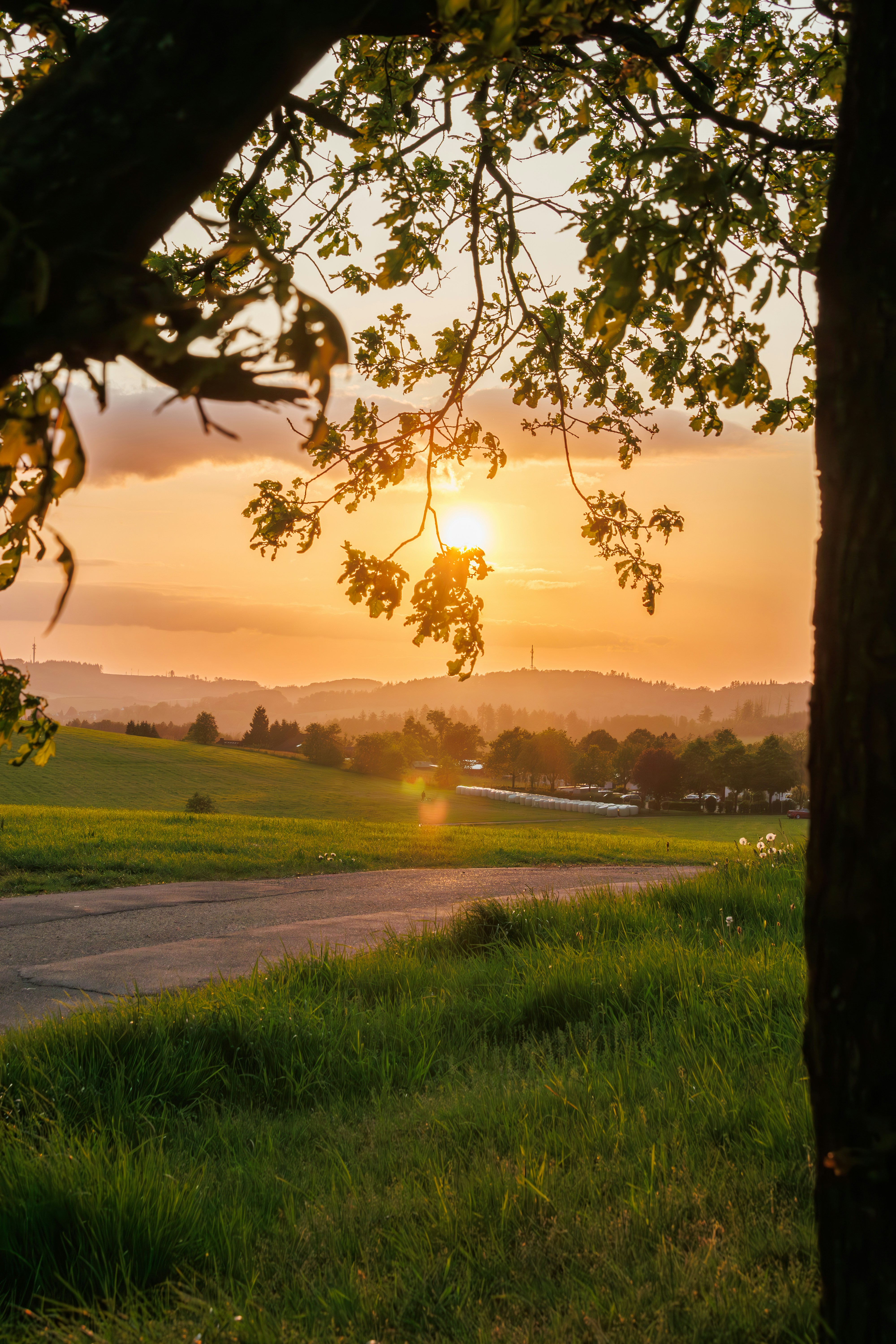 Photo by stockbirken