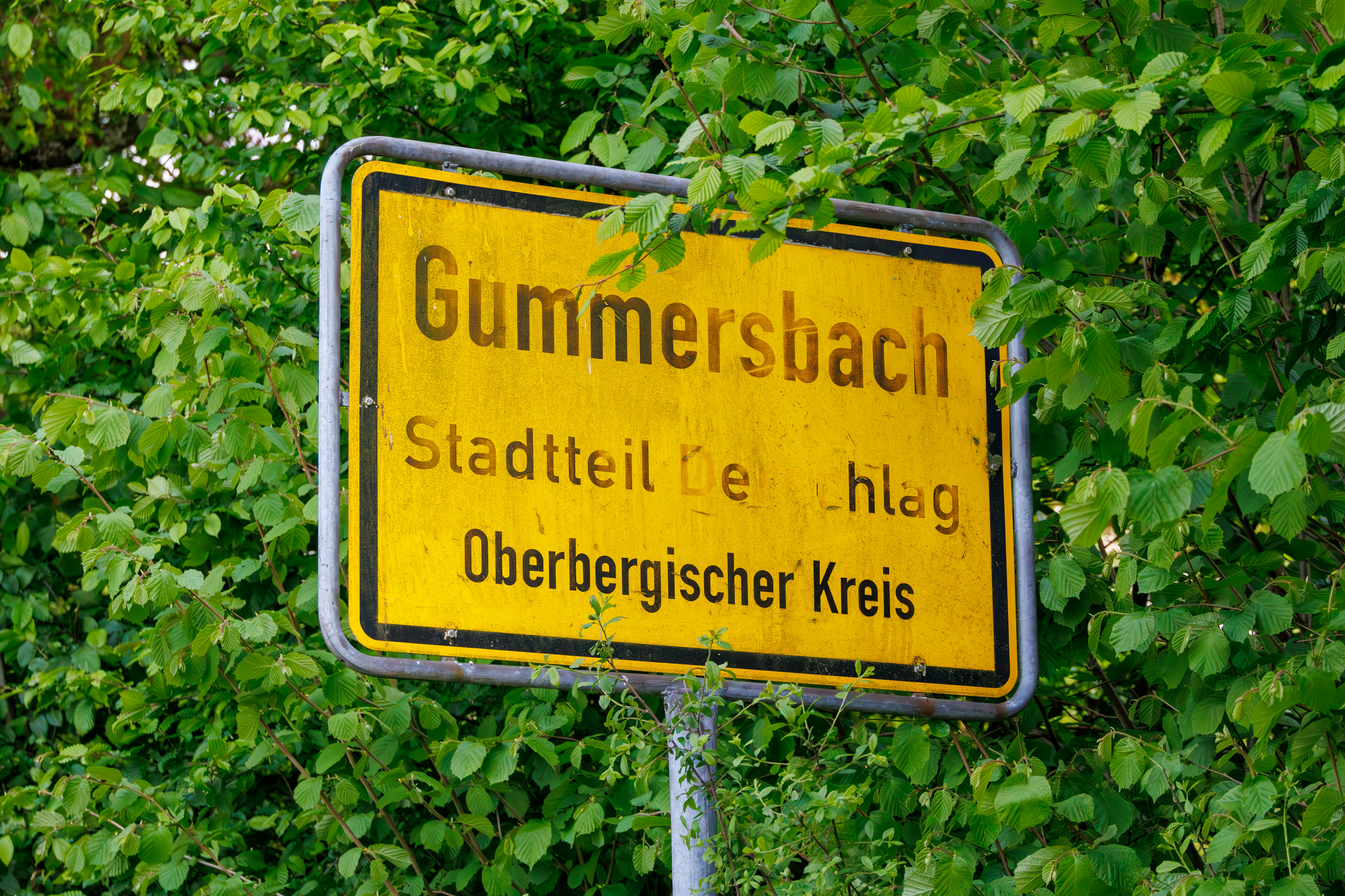a yellow street sign sitting next to a lush green forest