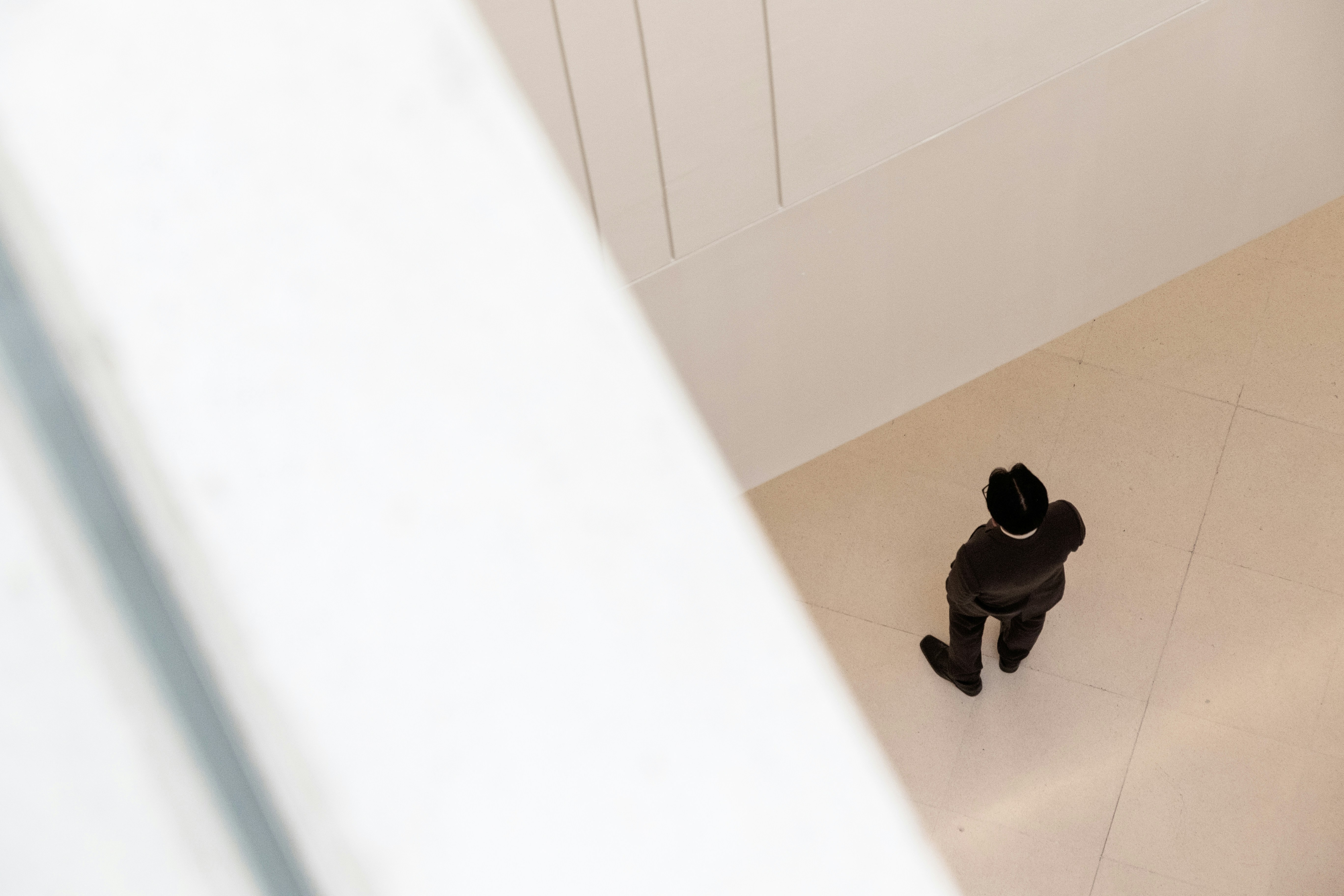 a small black dog standing in a bathroom