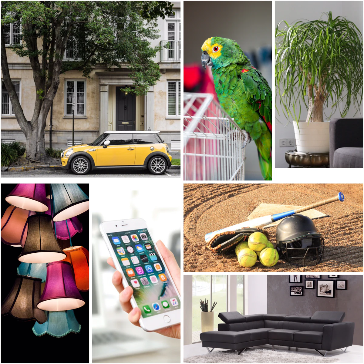 Eine Collage aus Fotos mit einer Couch, einem Auto, einem Baum, etc.