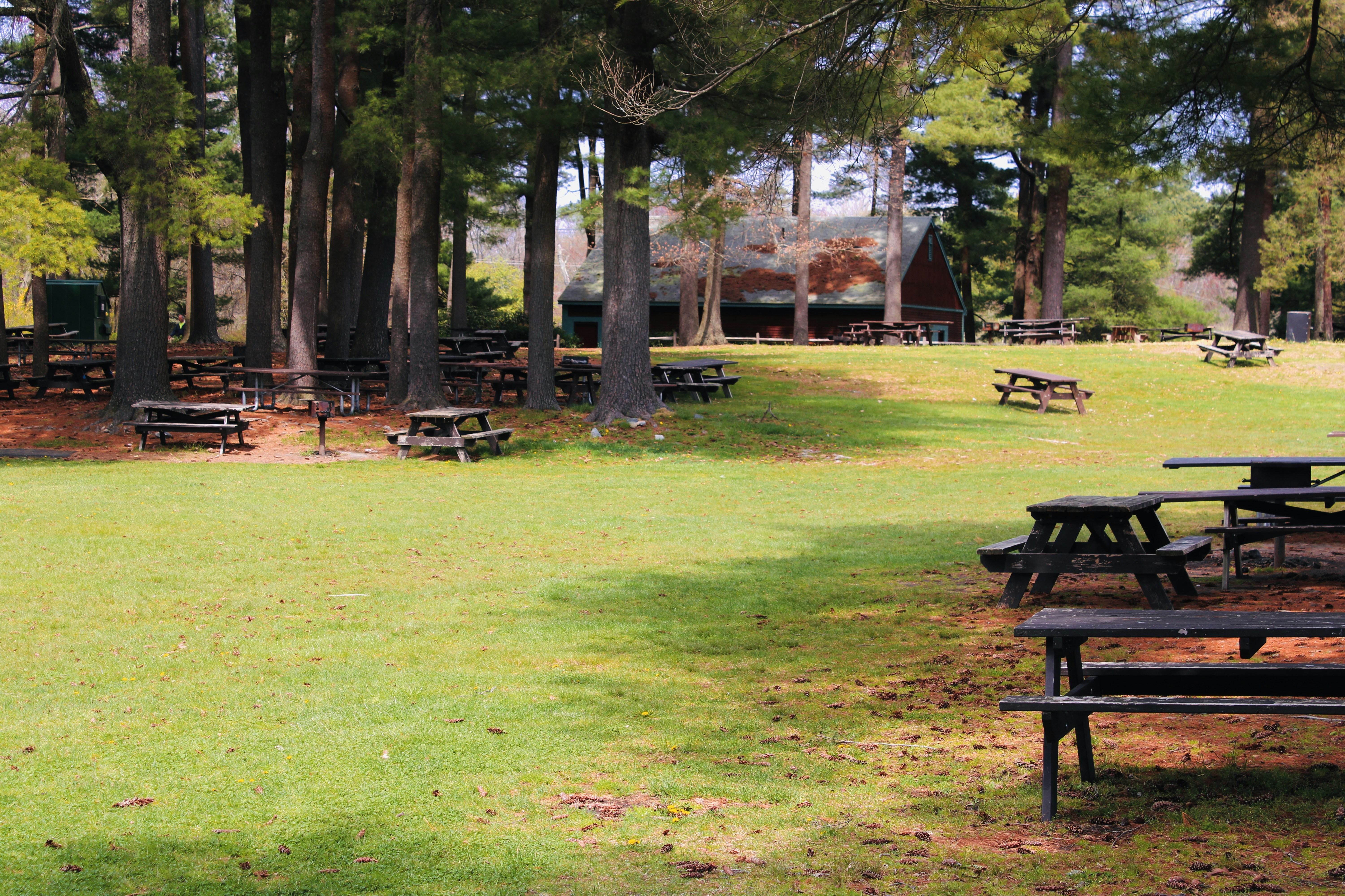 a grassy area with picnic tables and benches