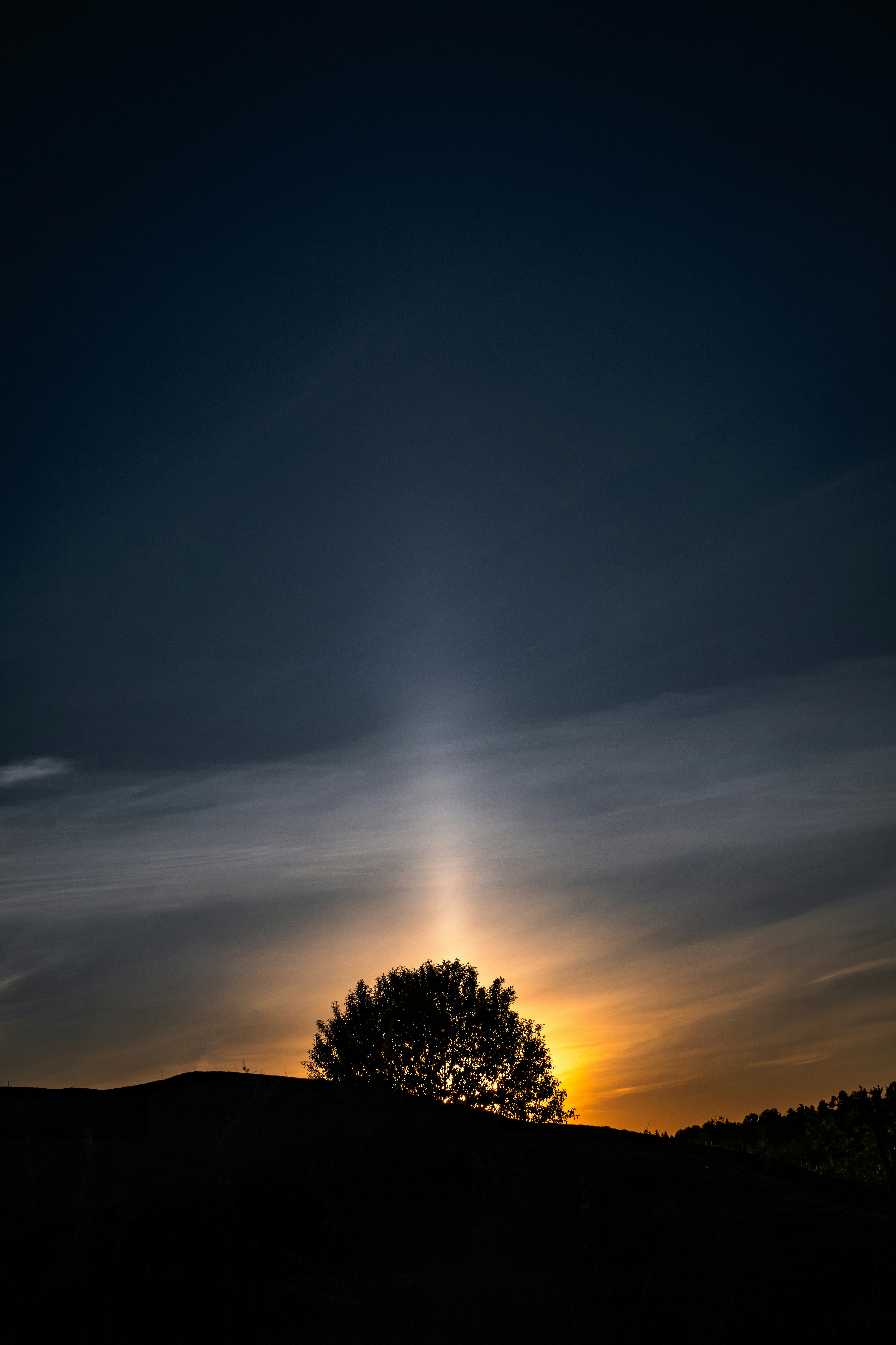 the sun is setting behind a tree on a hill