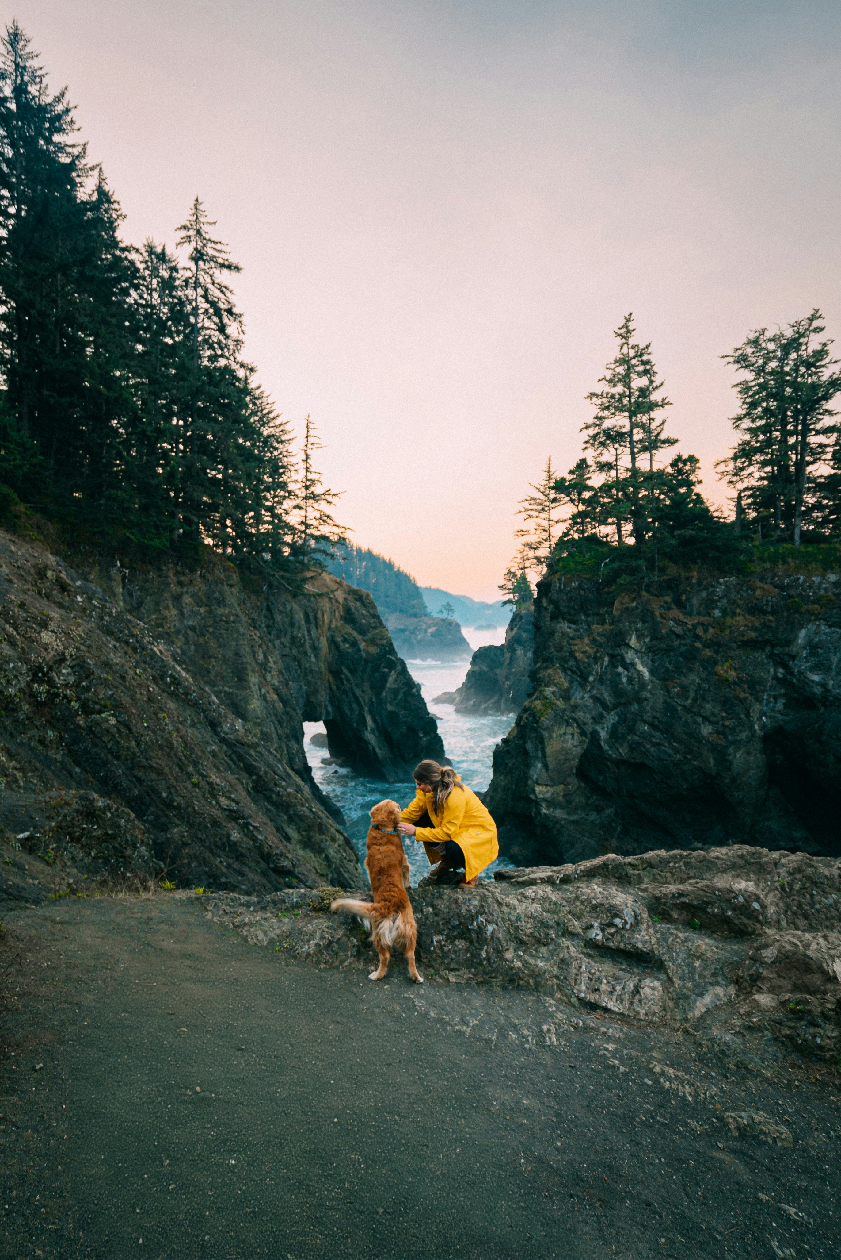 a person and a dog standing on a cliff