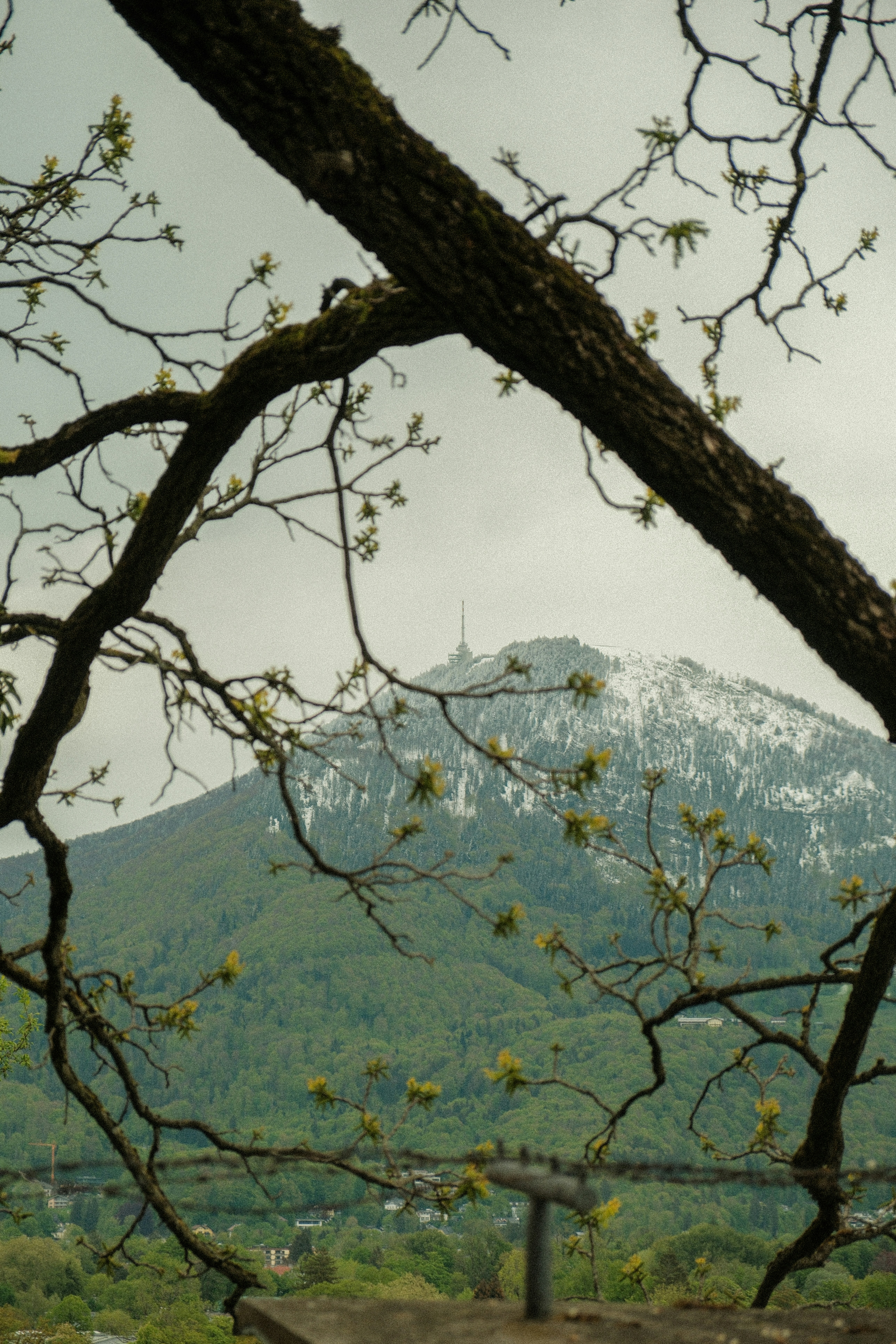 Photo by alexispresa