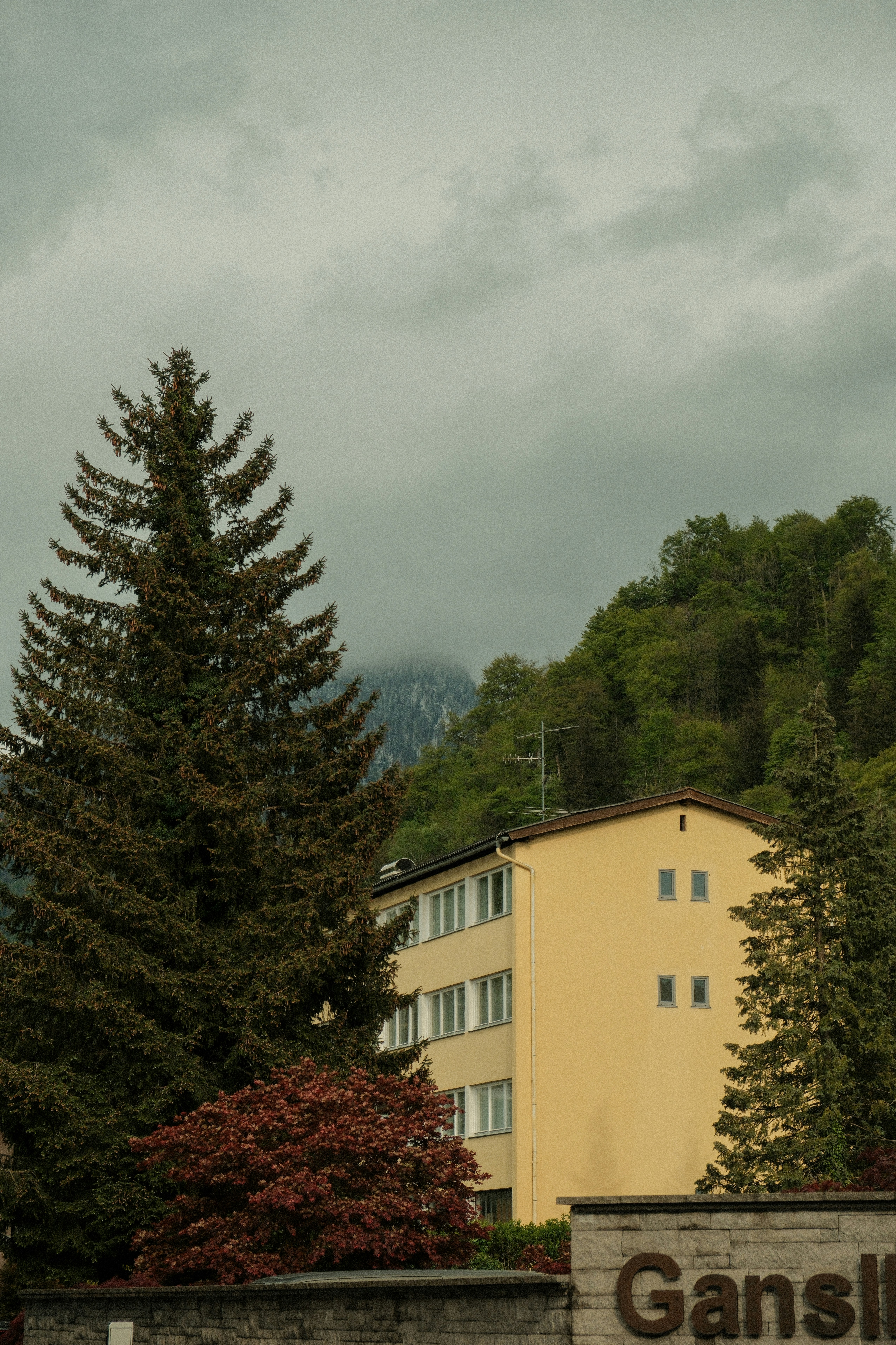 Photo by alexispresa