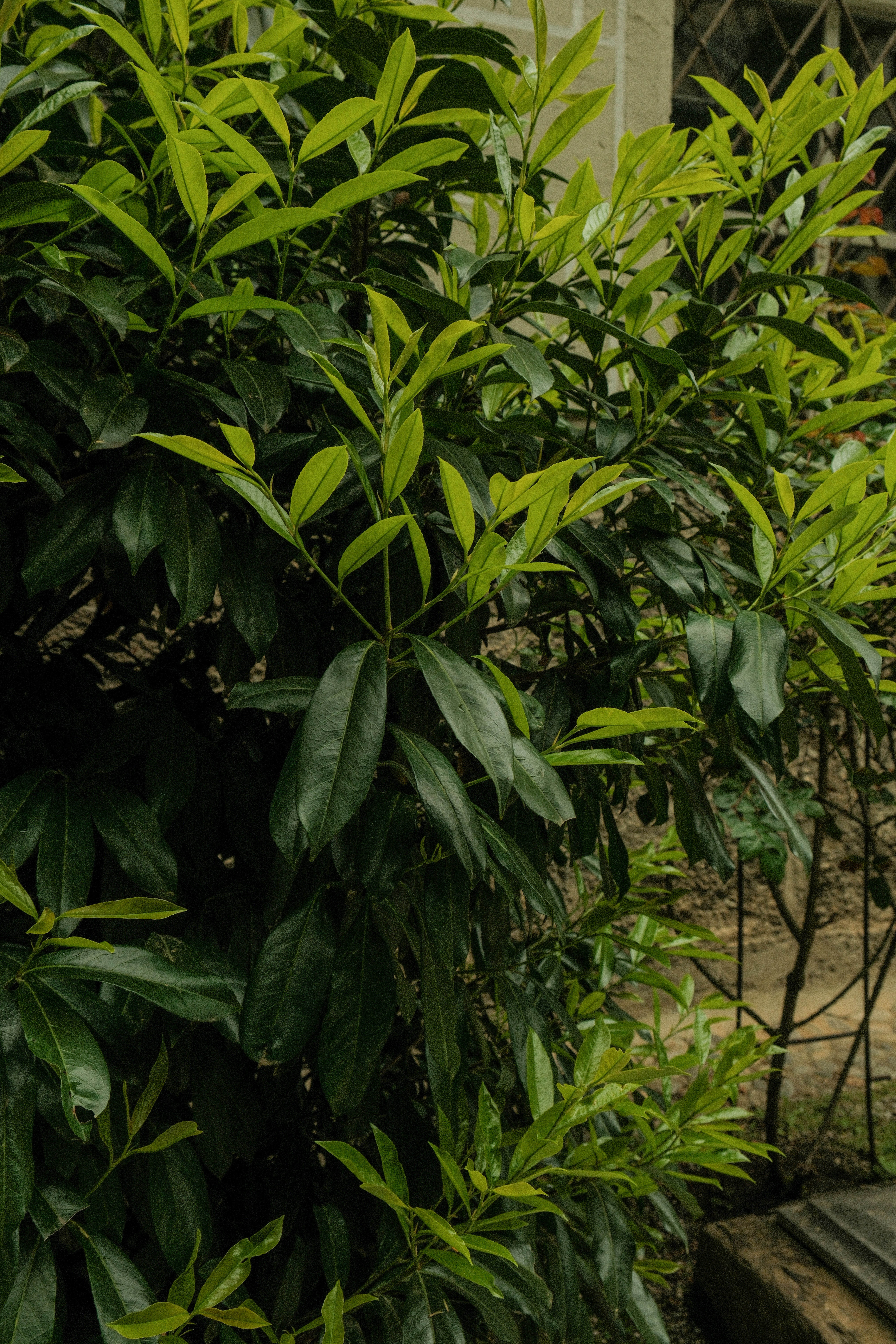 Photo by alexispresa