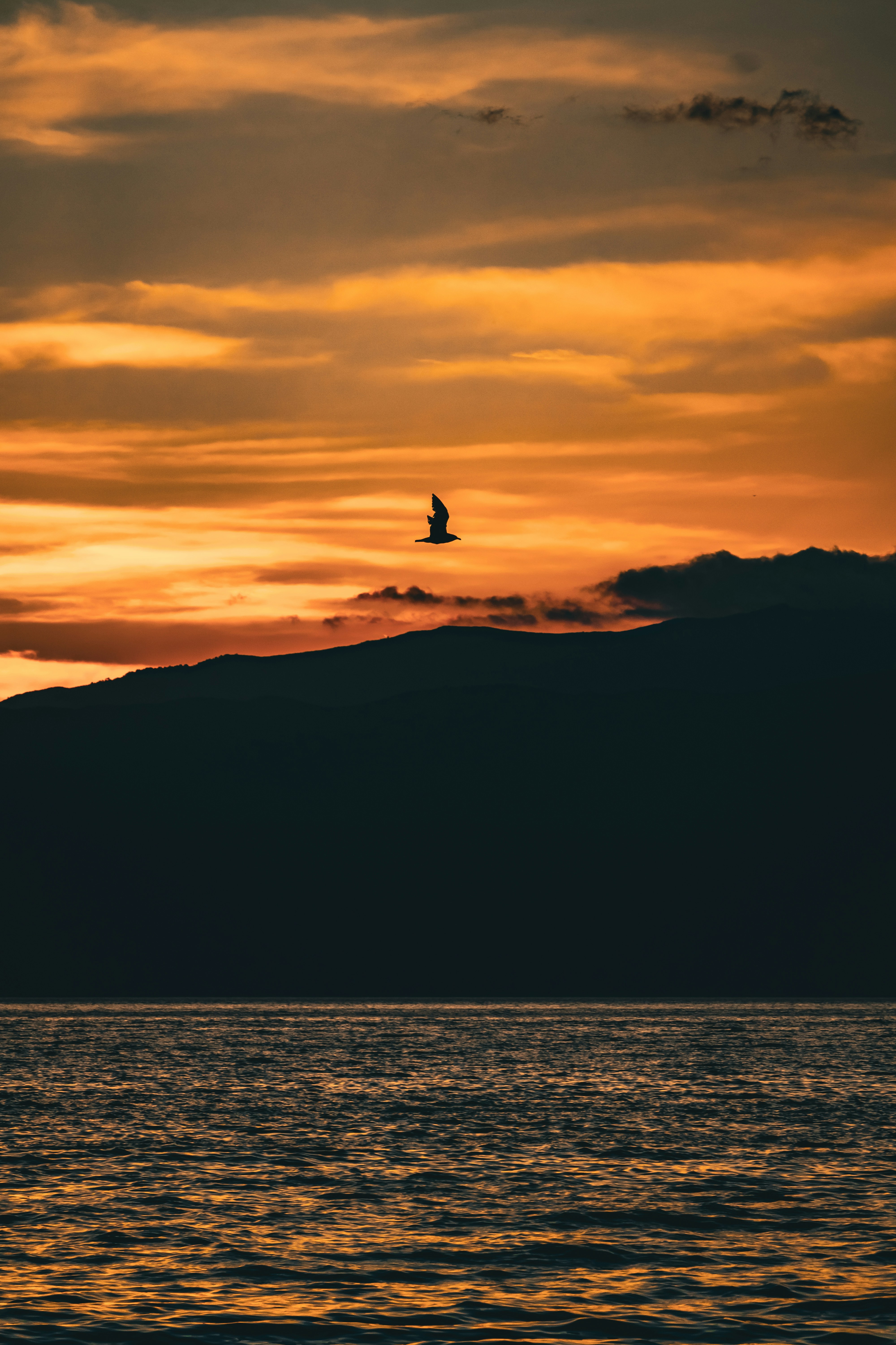 Photo by nenadkaevik