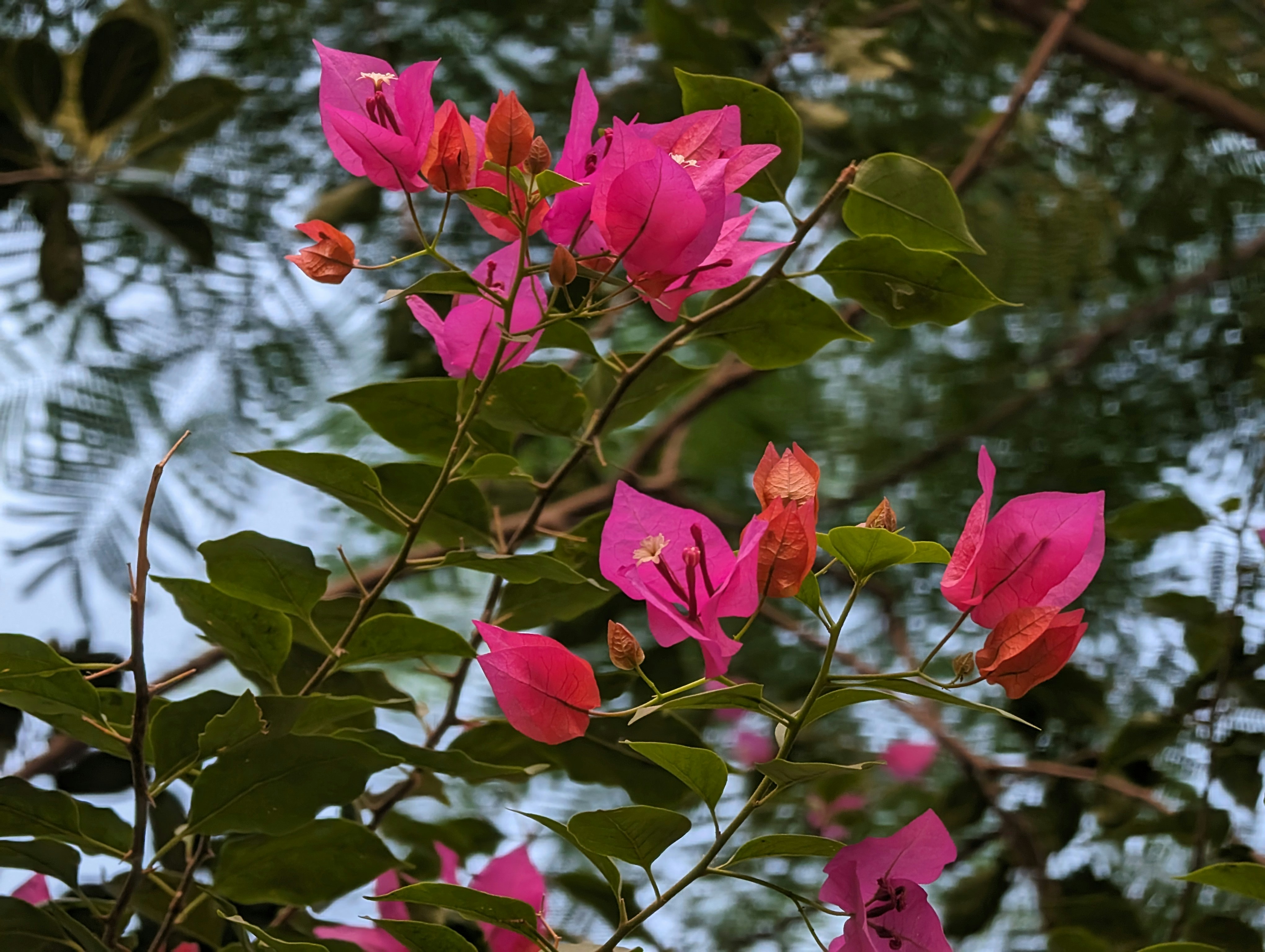 Photo by masumbinzafar