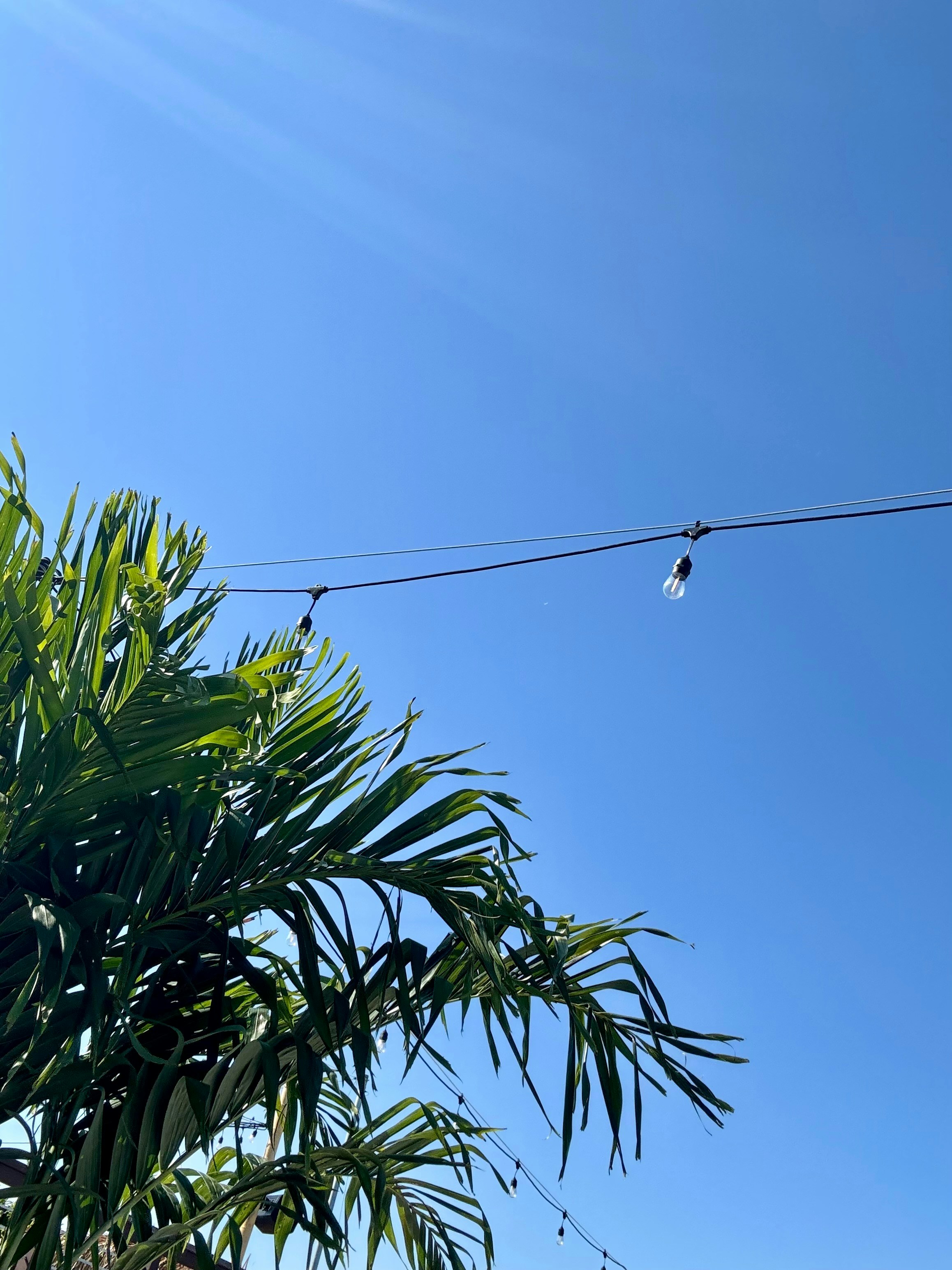 a clear blue sky with a power line in the foreground