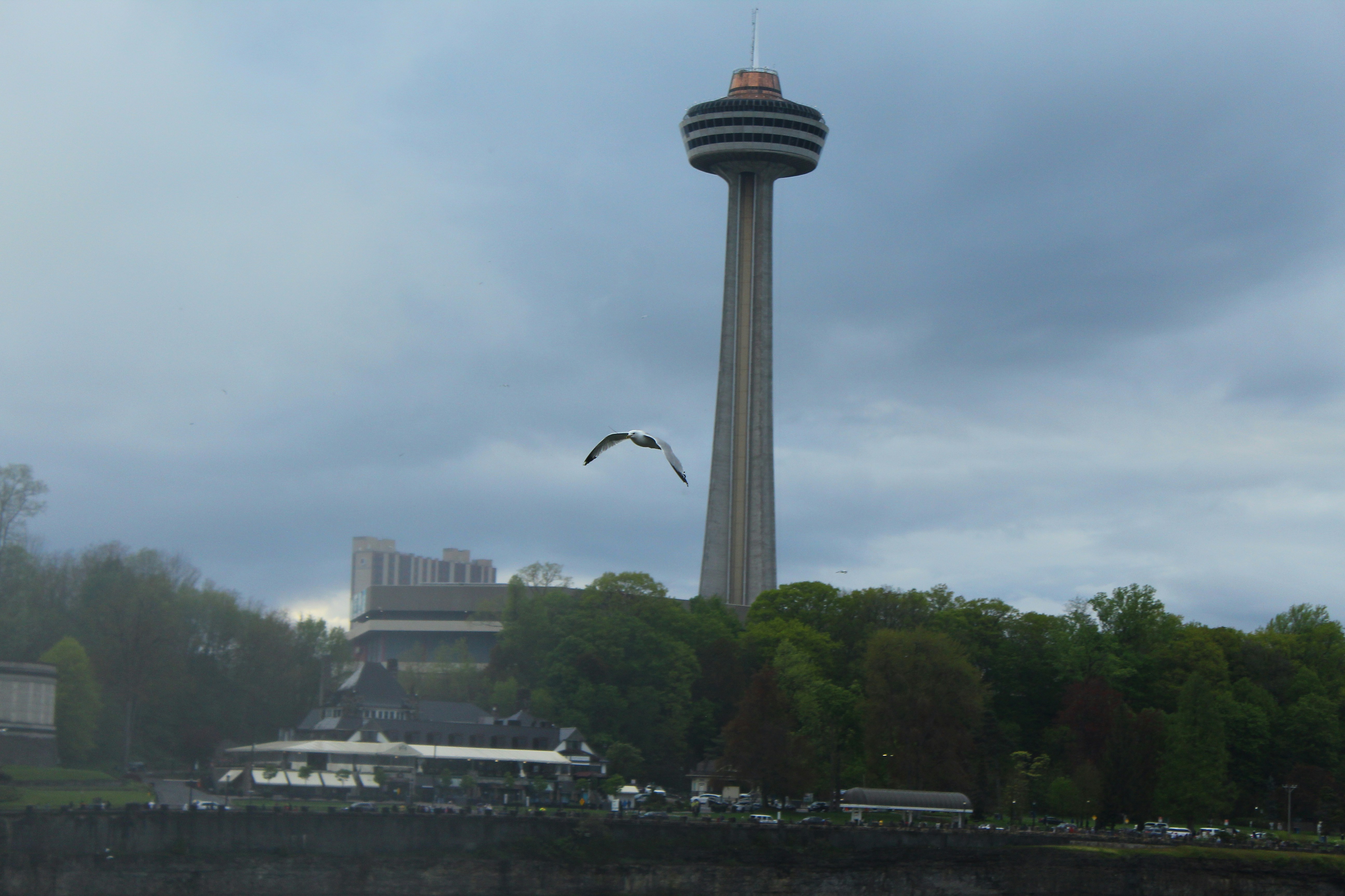 Niagara SkyWheel photo 2