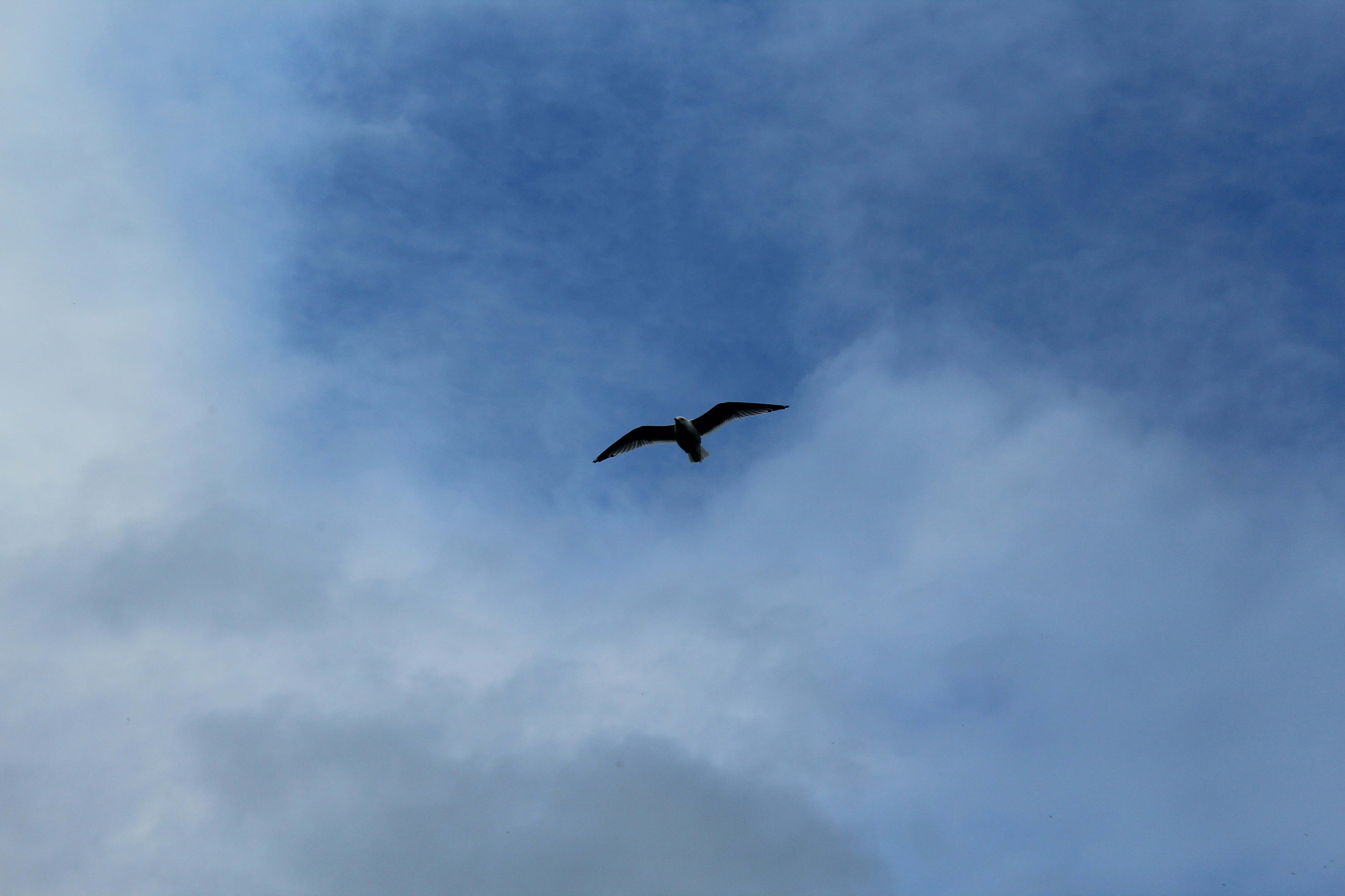 Photo by srinivascoolguy