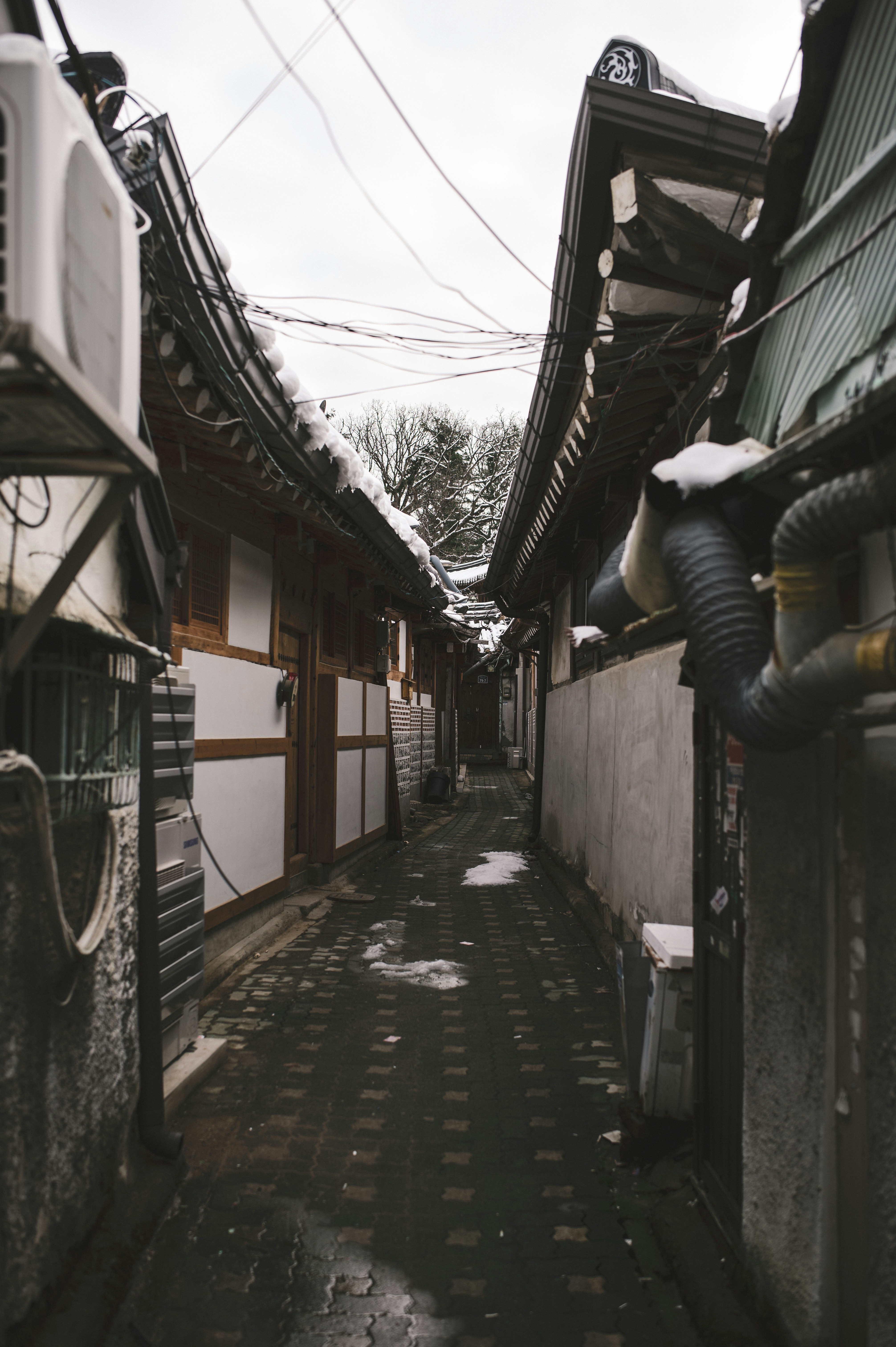 Photo by lando2