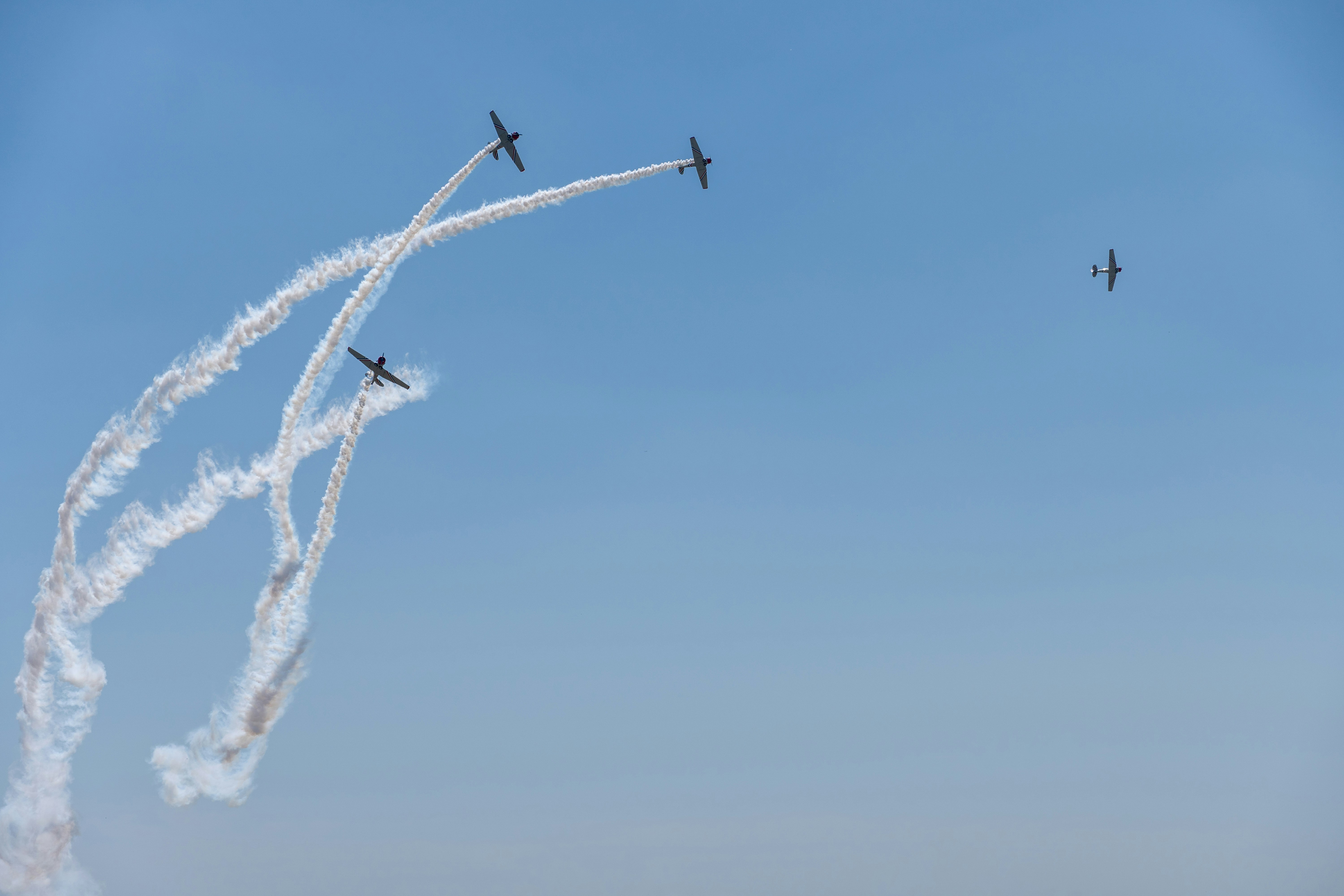 Photo by vitaliyburovart