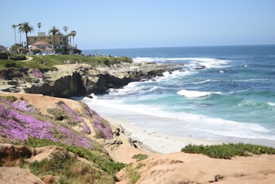La Jolla Shores