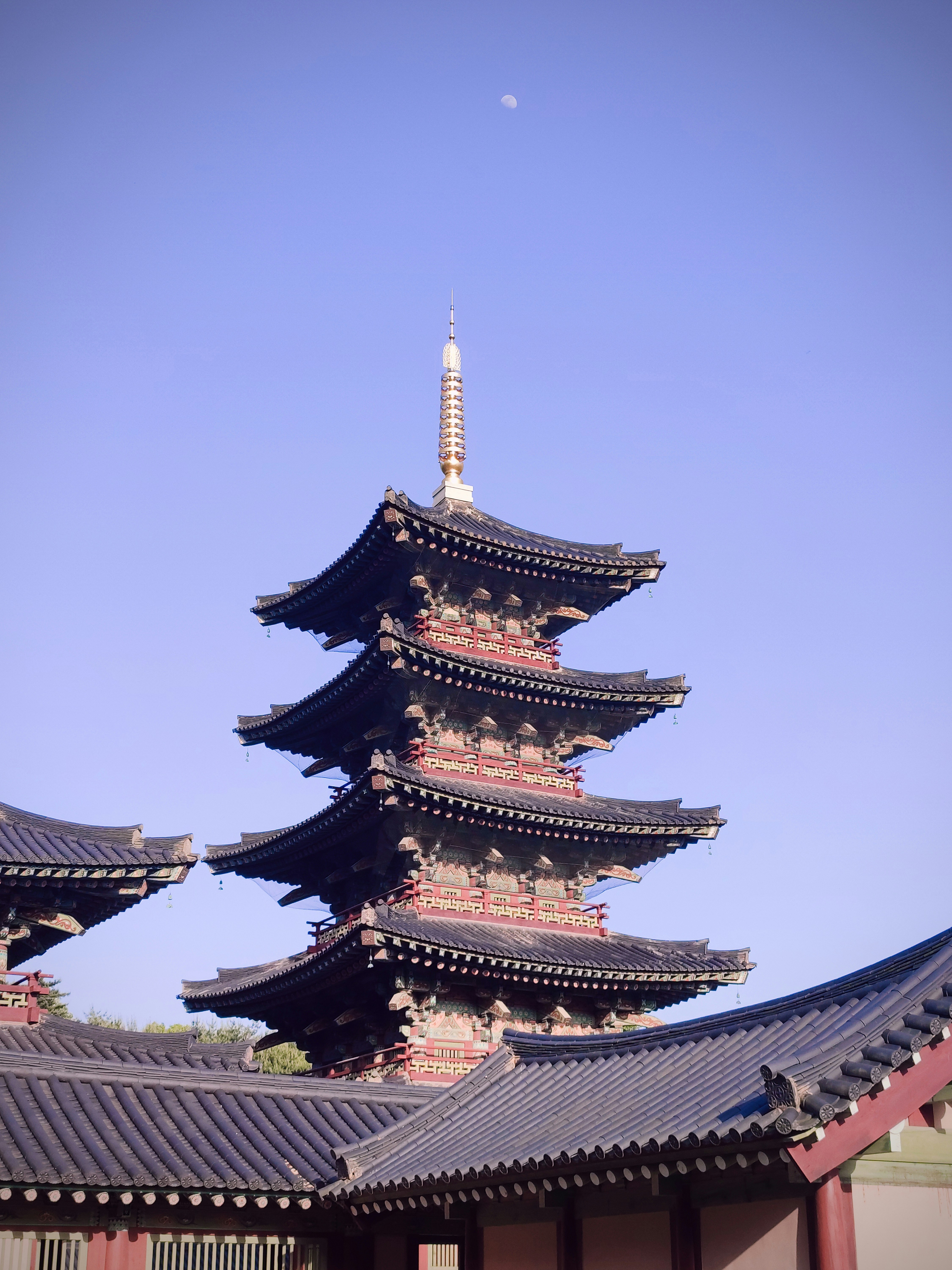 Photo by aljhonumlas