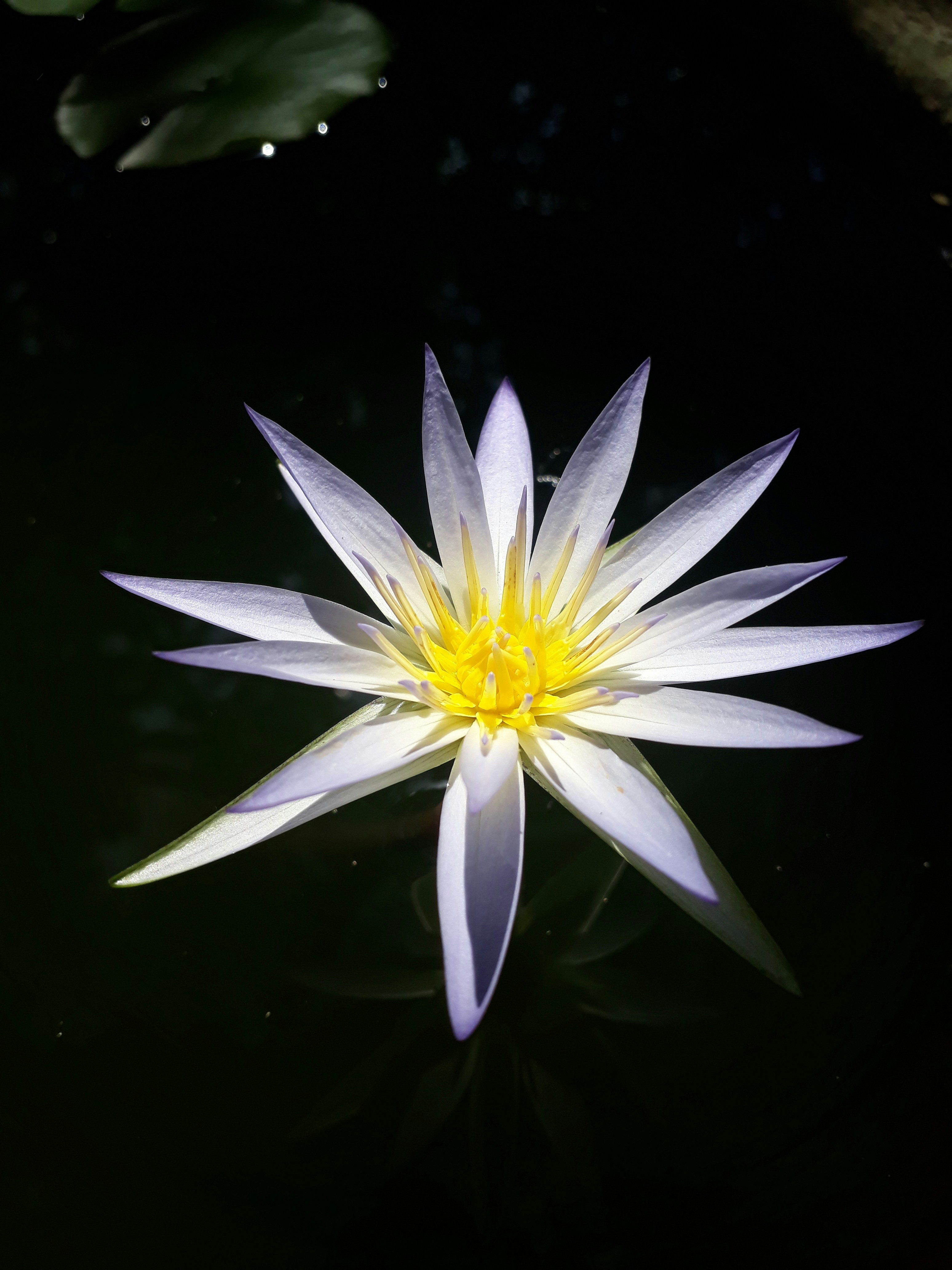 Photo by dilani_wicky