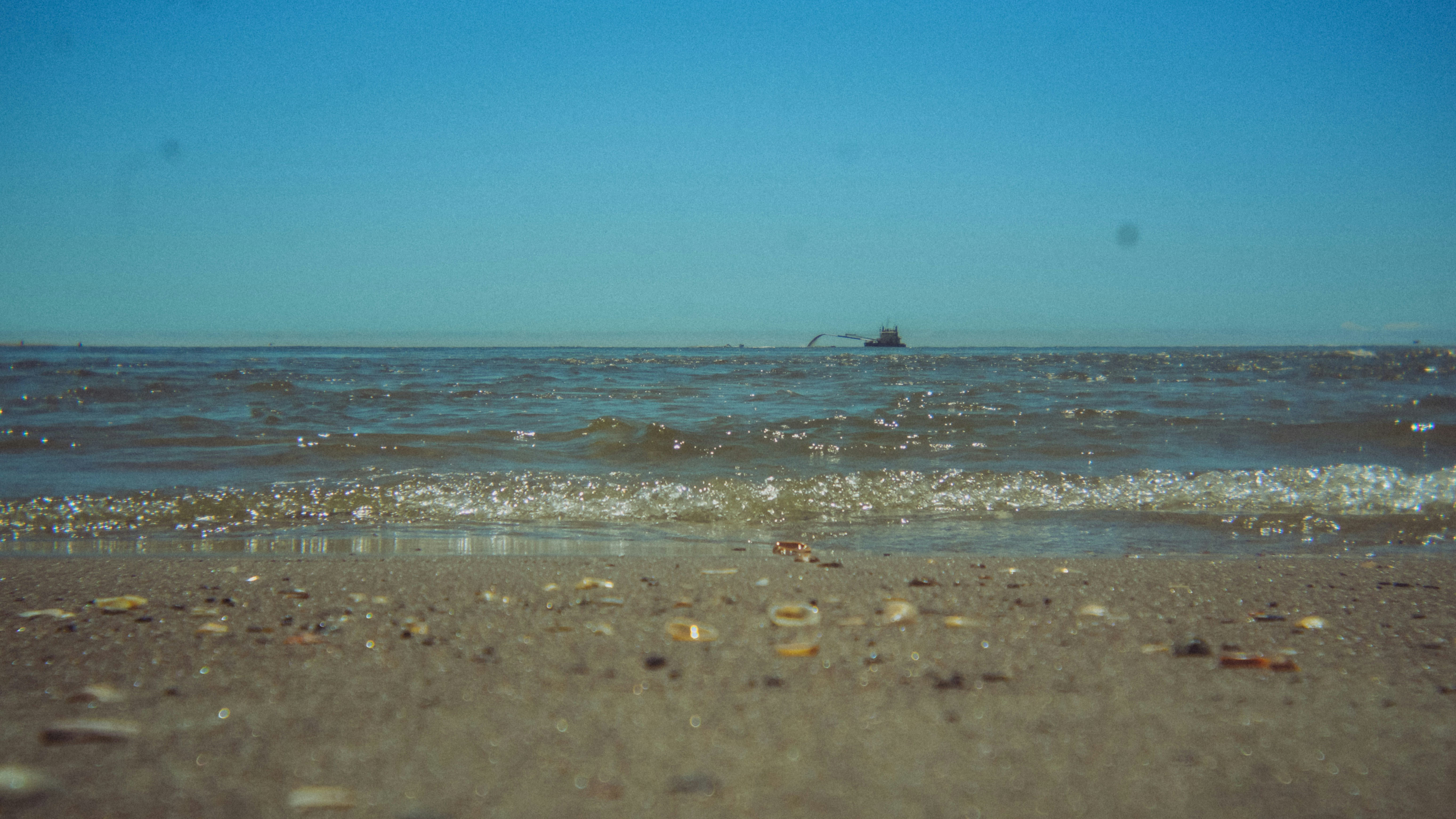 Sailfish Park