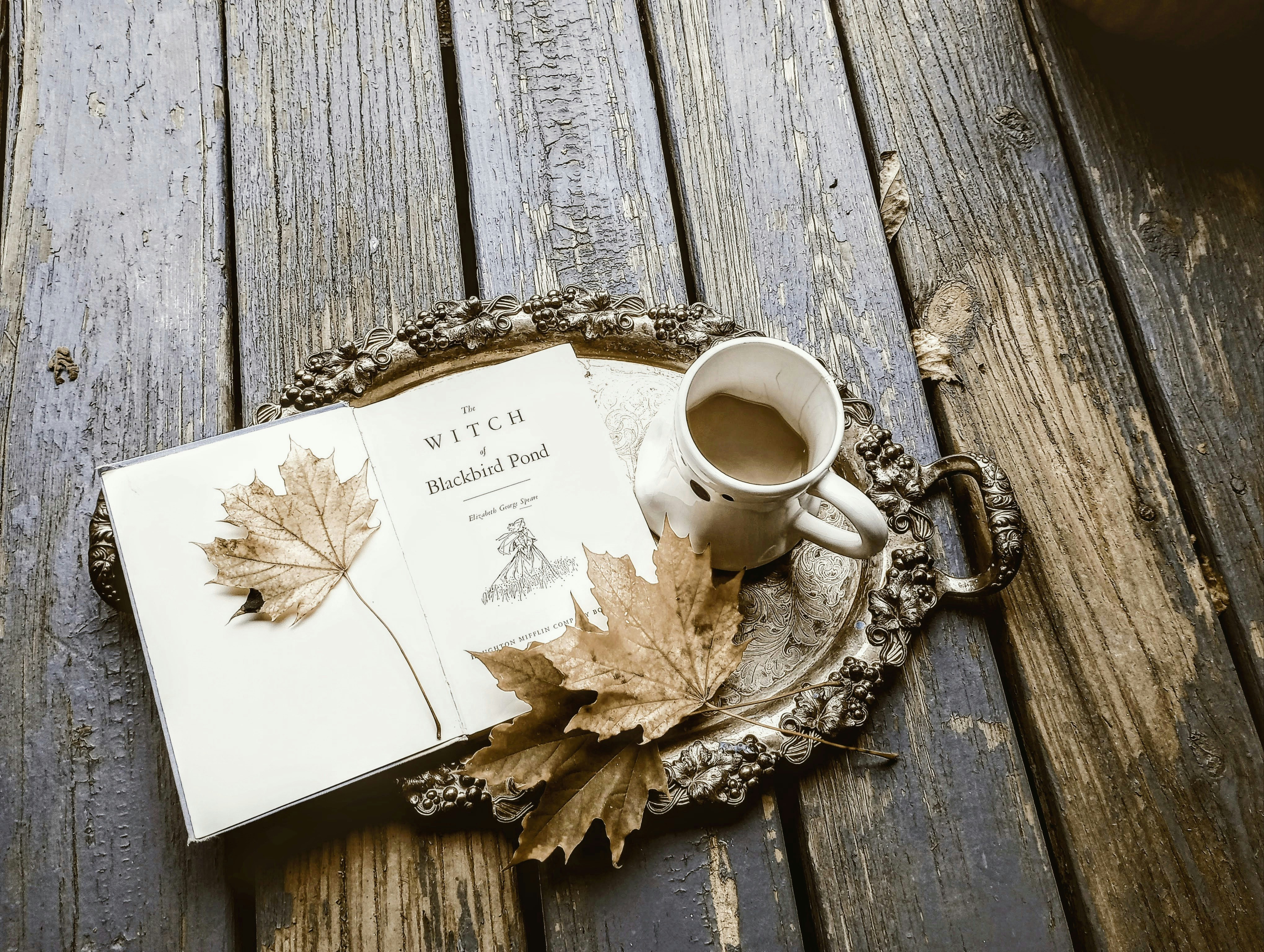 Photo by grimmie_and_ghostlie