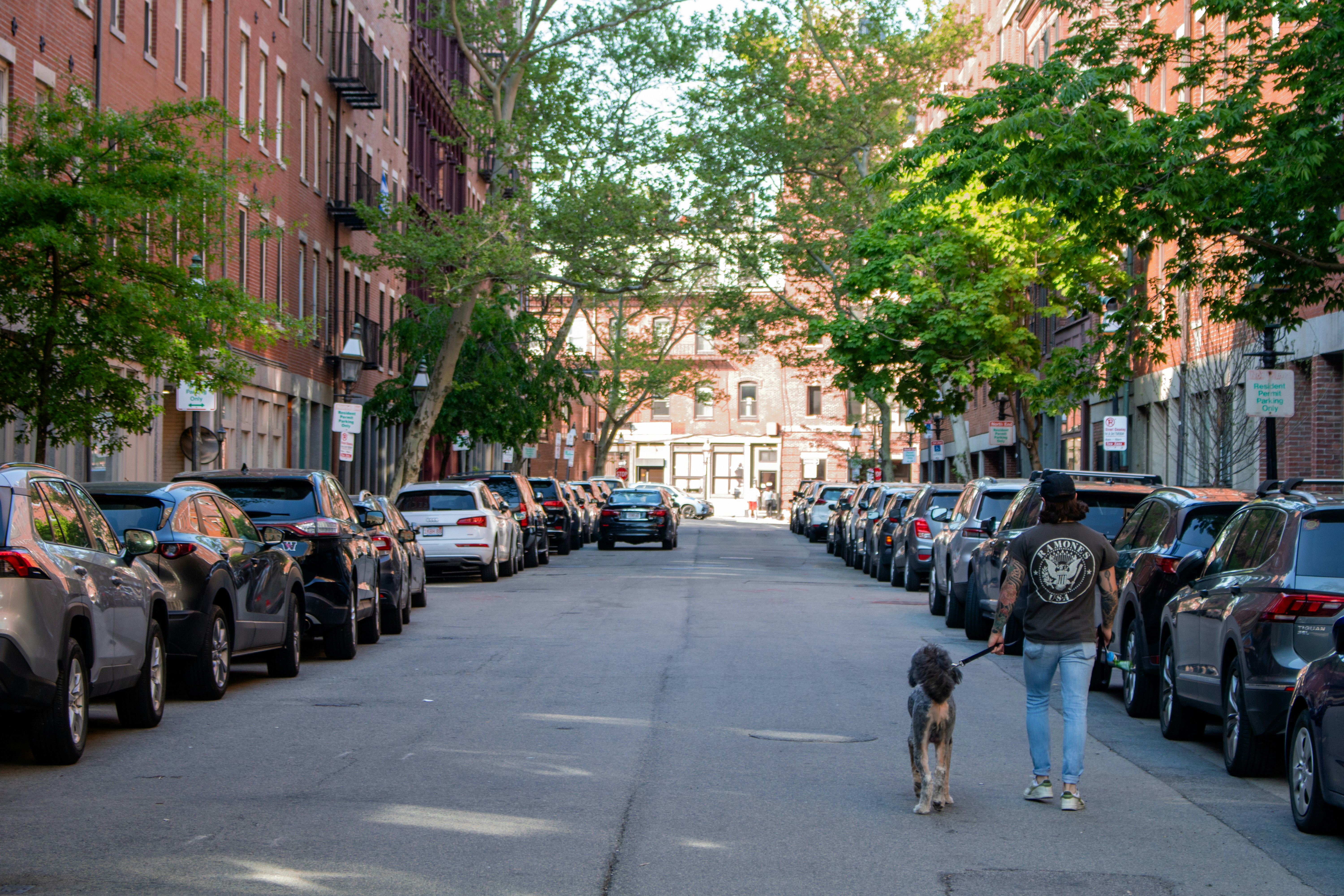 a man walking a dog down a street lined with parked cars