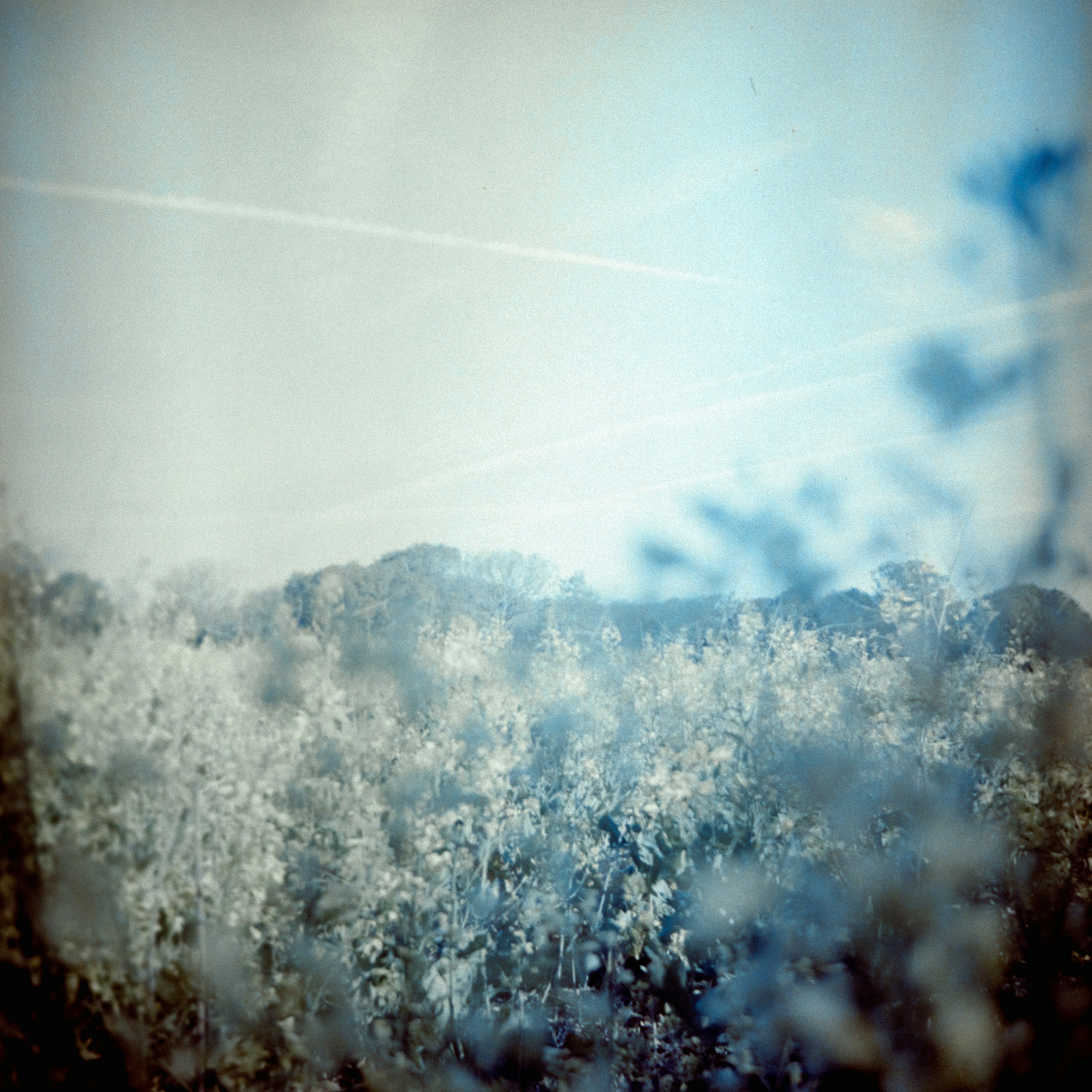 Photo by anniespratt