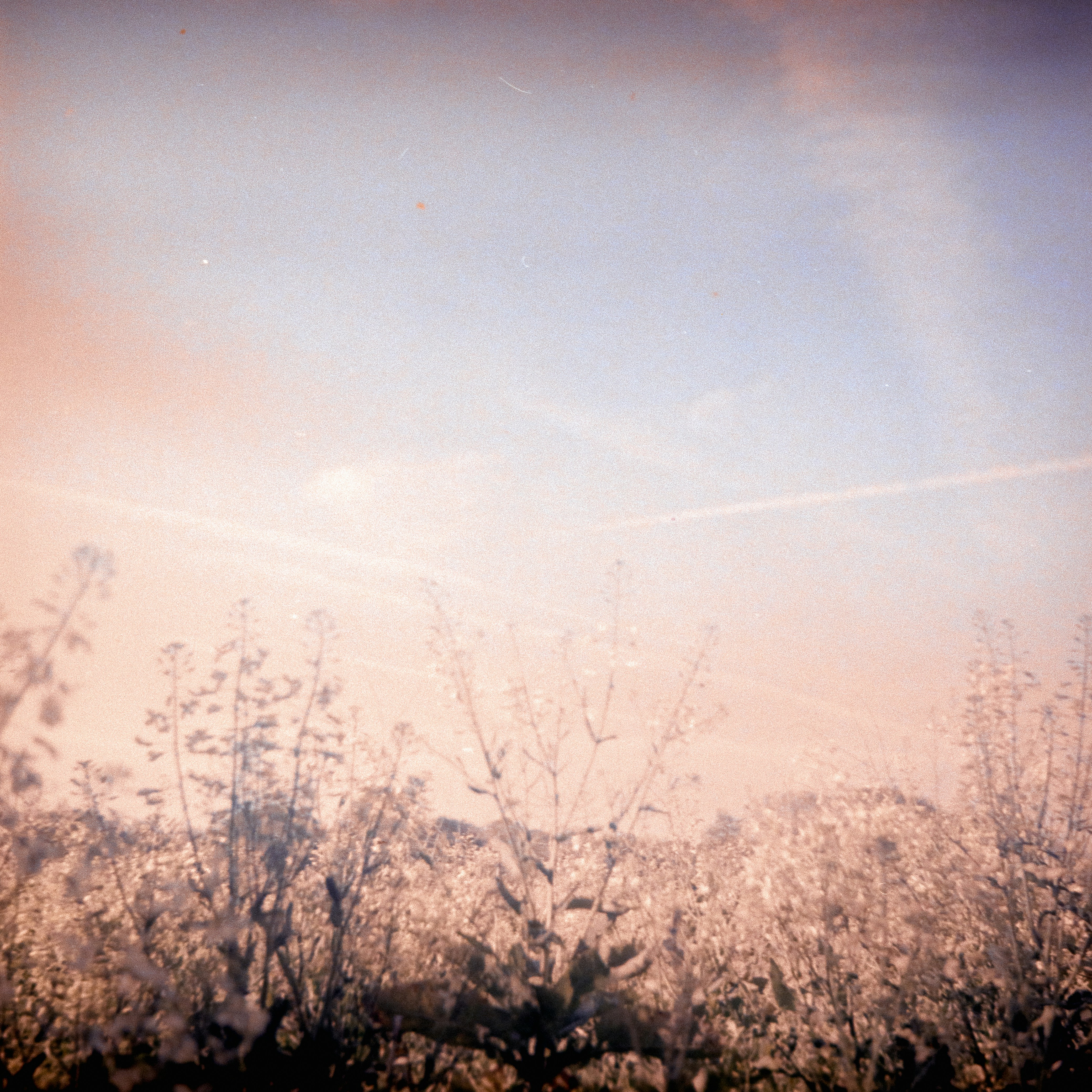 Photo by anniespratt