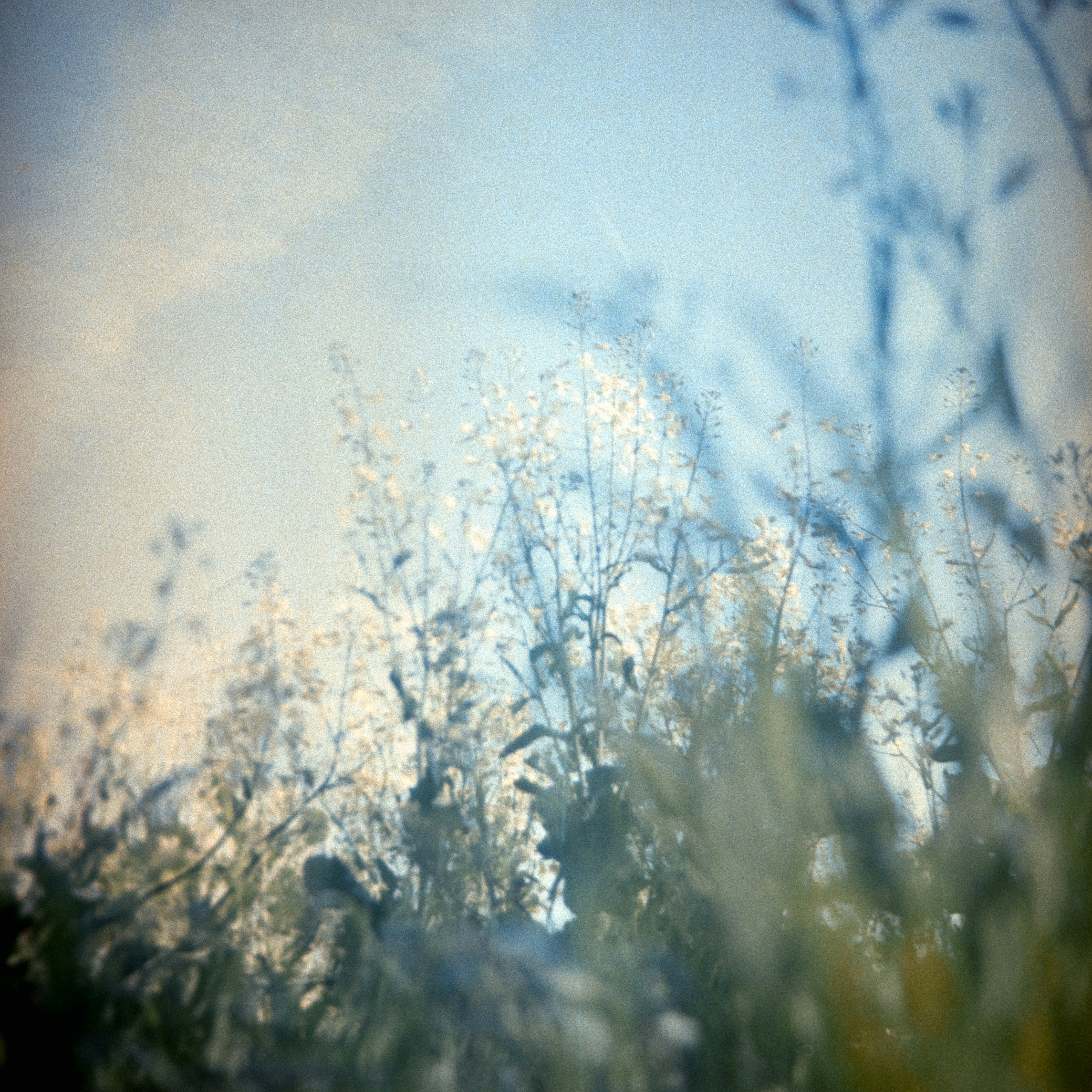 Photo by anniespratt