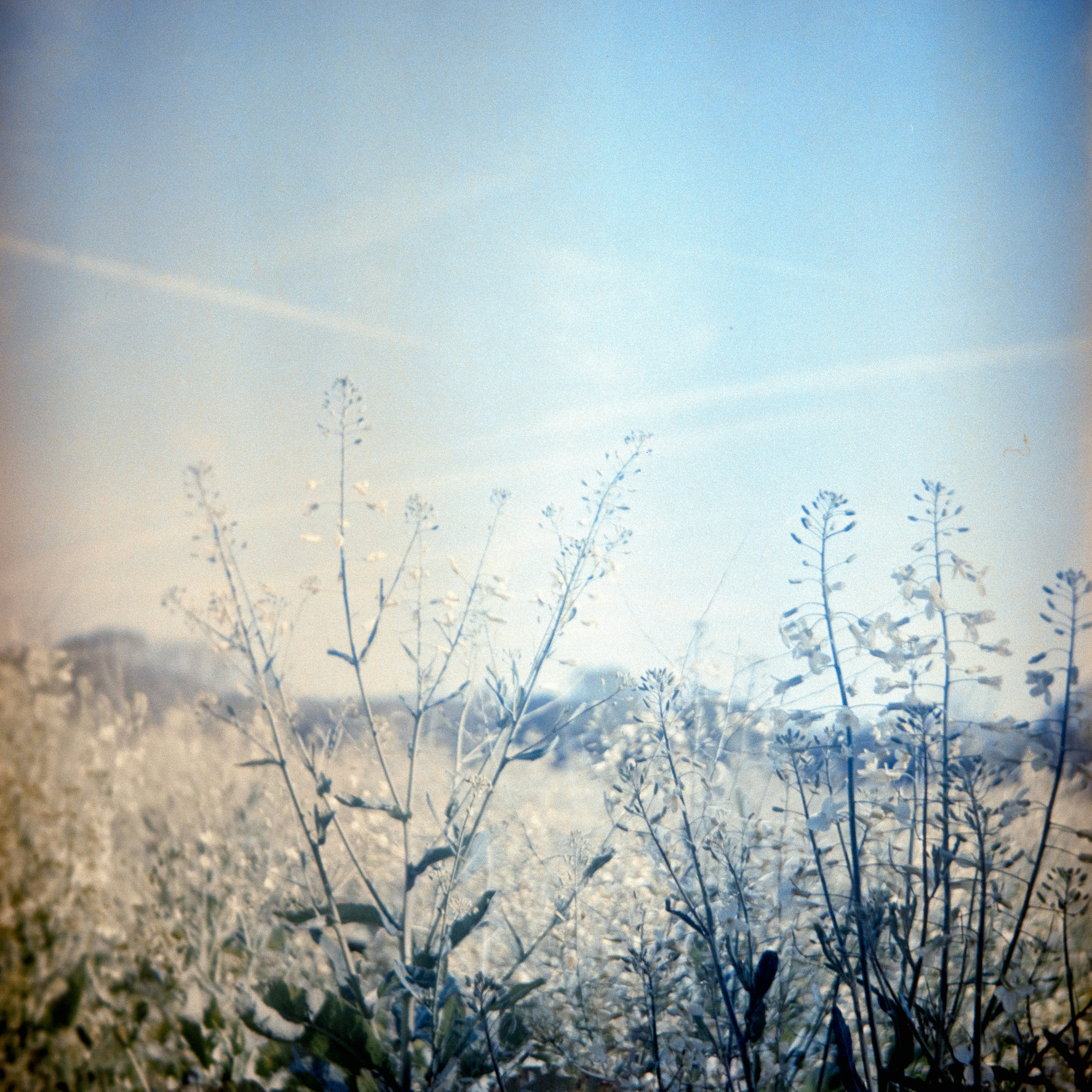 Photo by anniespratt