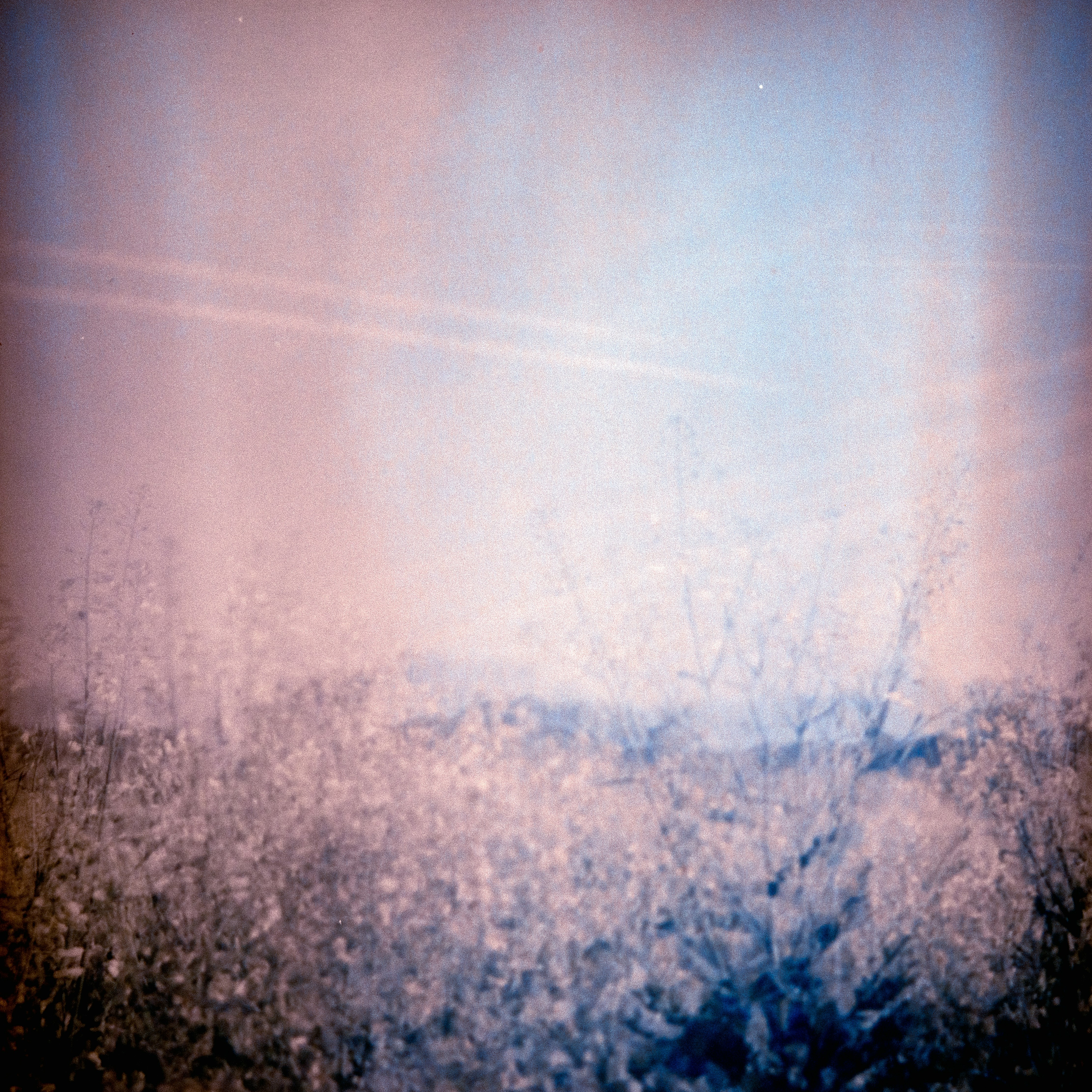 Photo by anniespratt