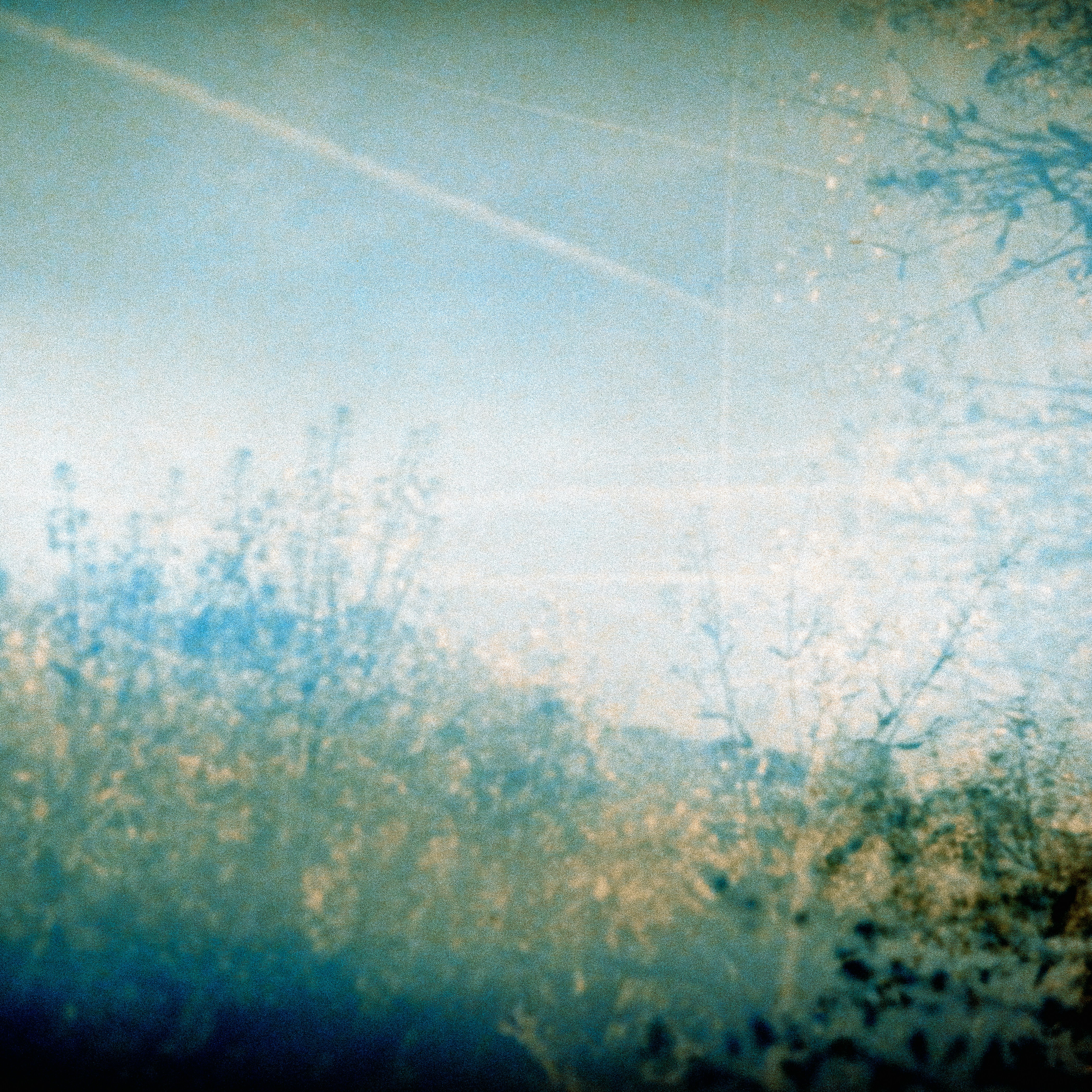 Photo by anniespratt