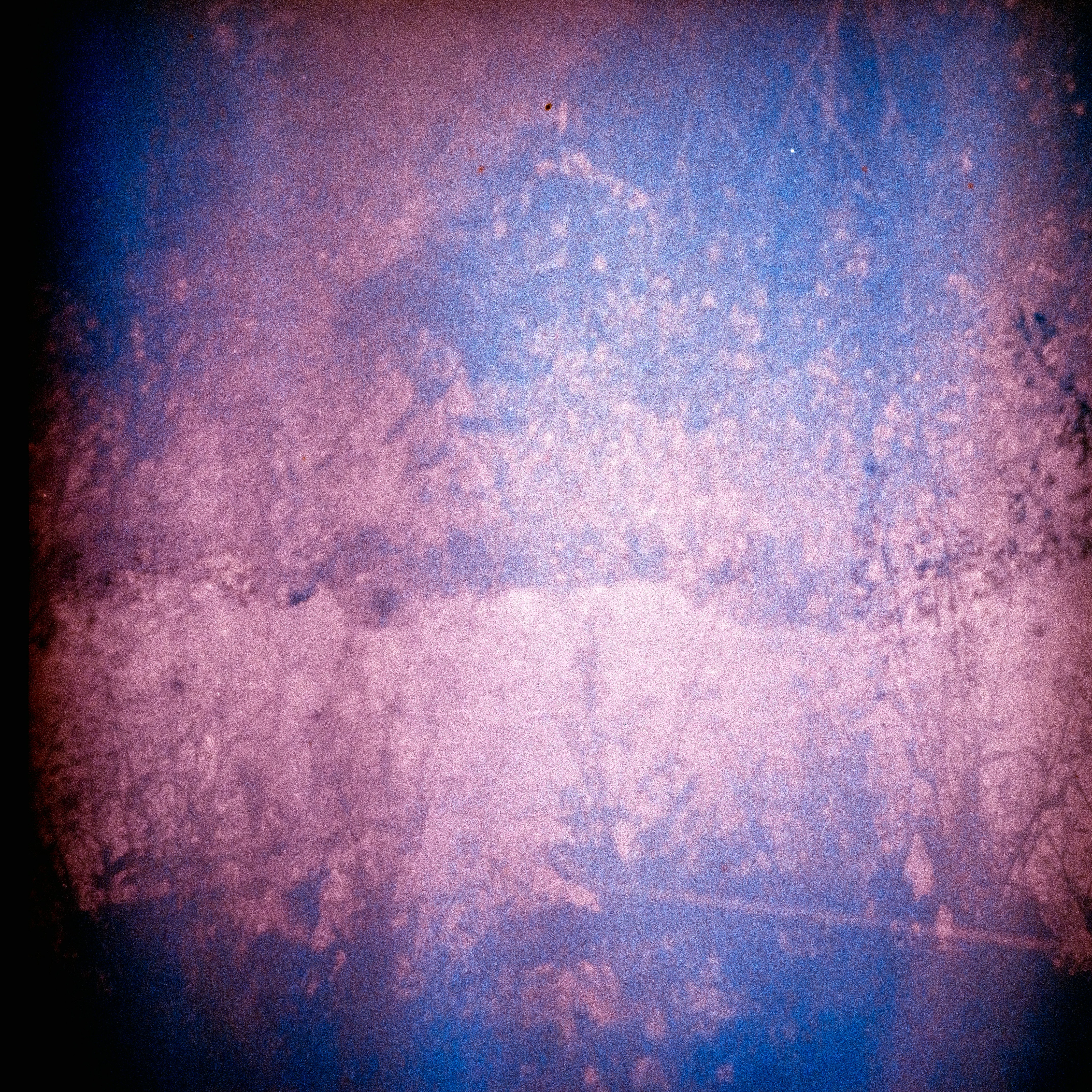 Photo by anniespratt