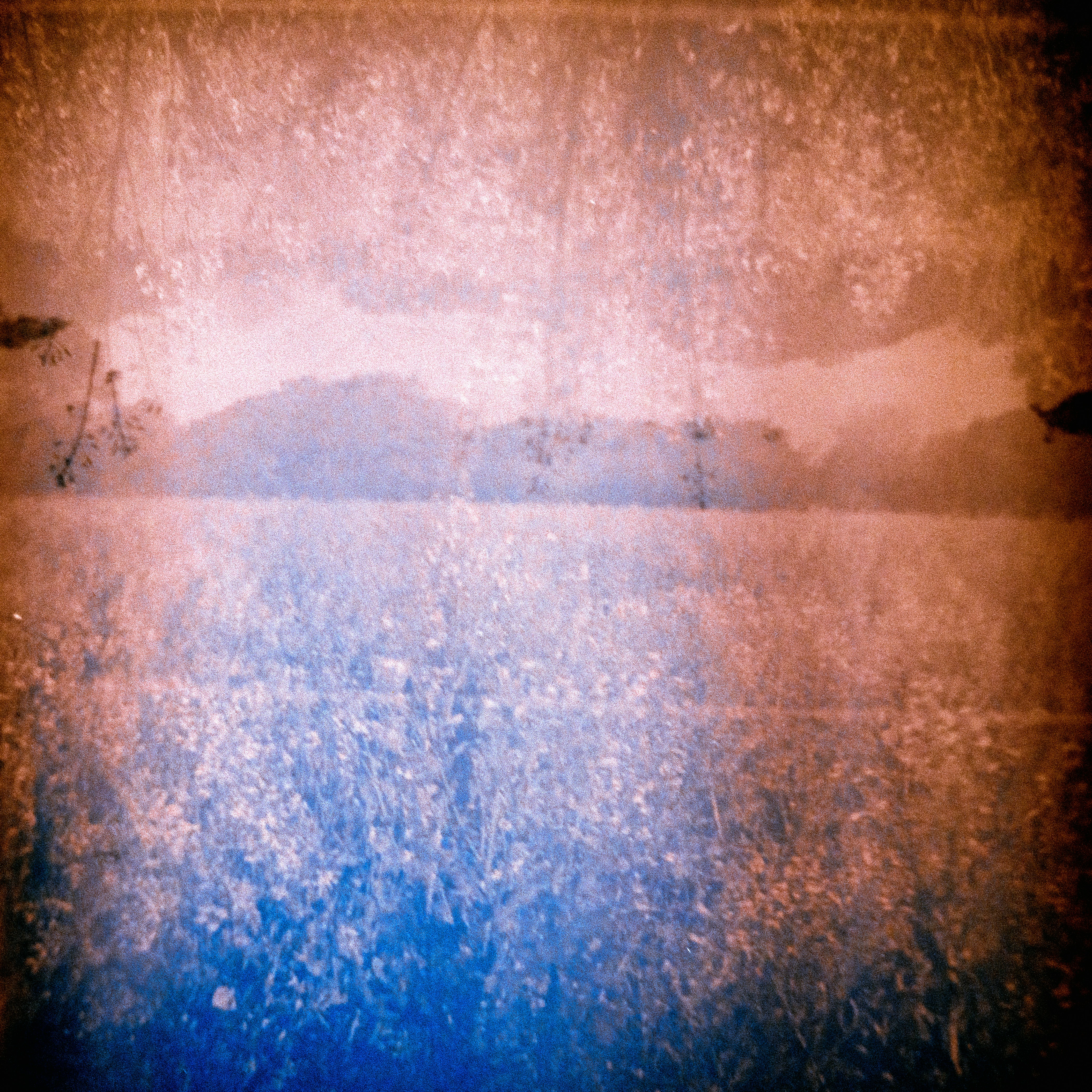 Photo by anniespratt