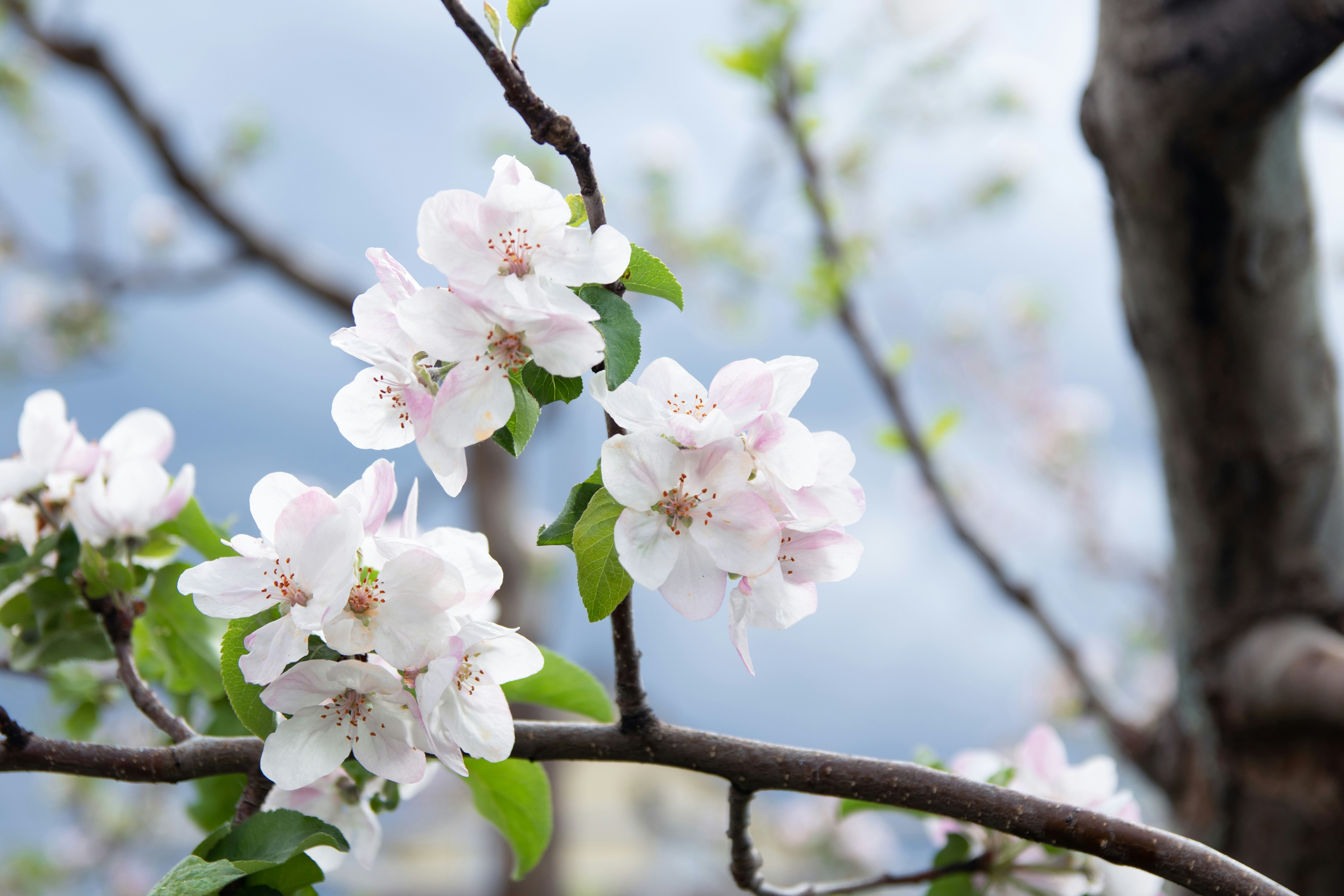 Photo by maksimzaviktorin