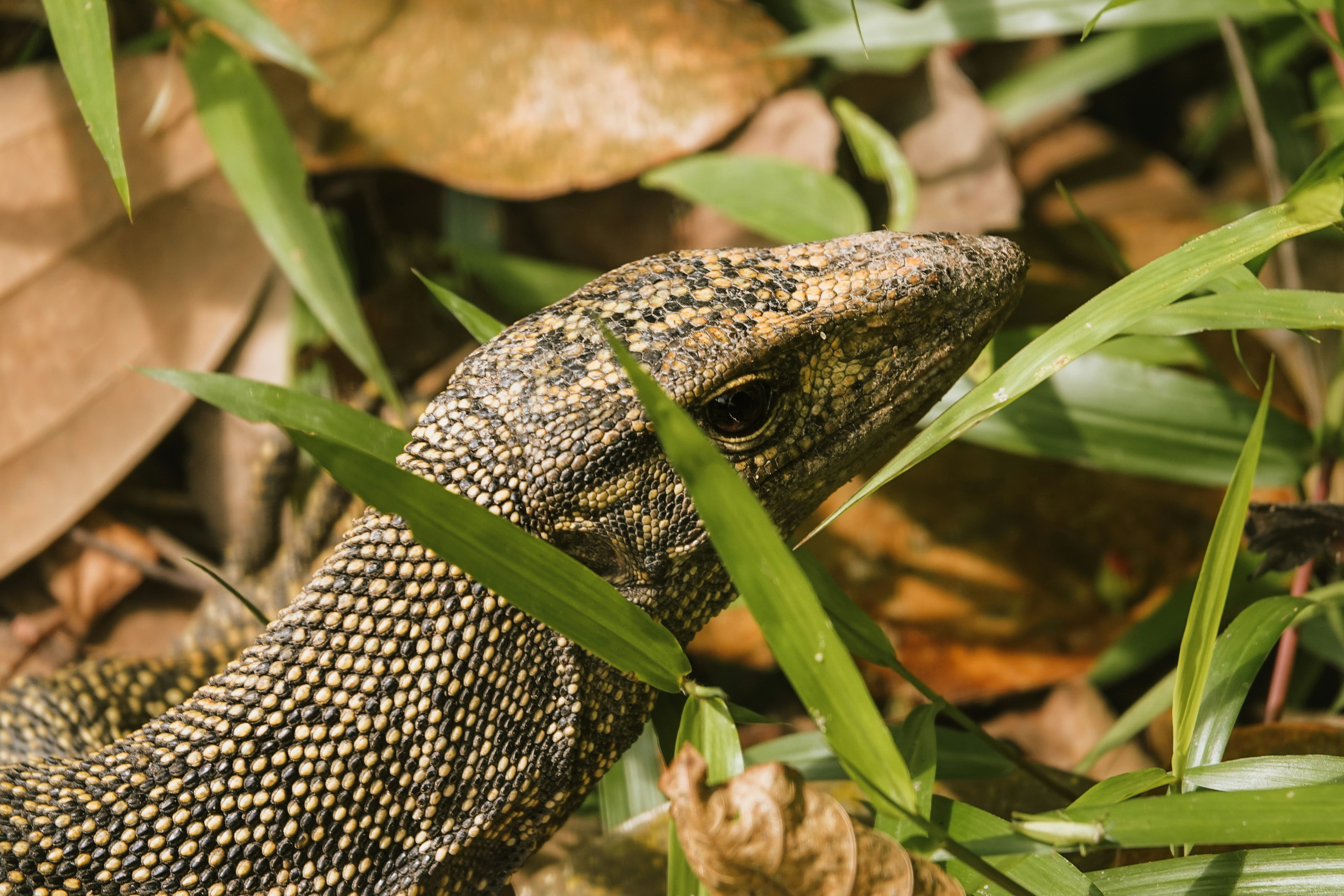 Photo by joylynn_goh