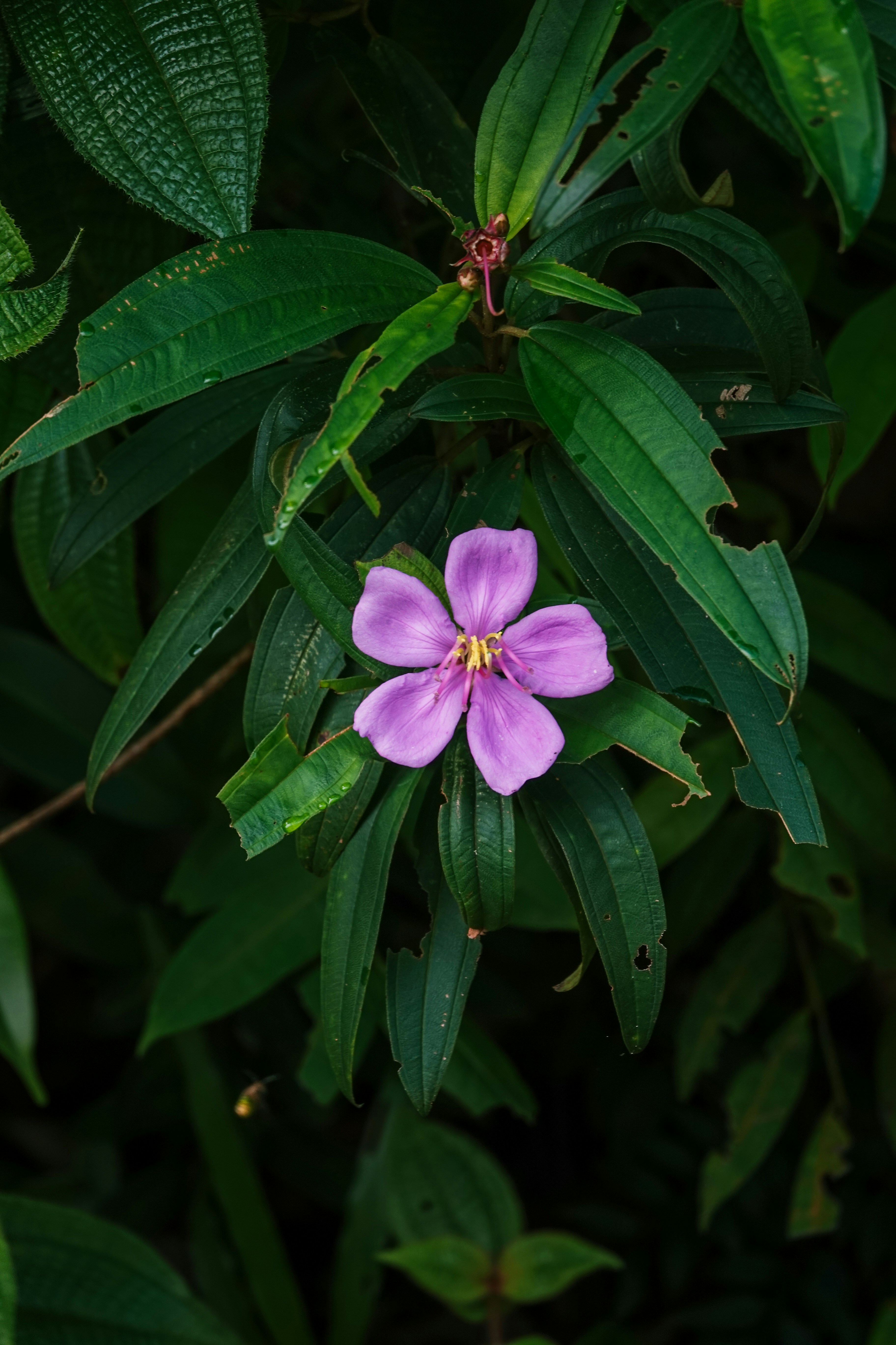 Photo by joylynn_goh