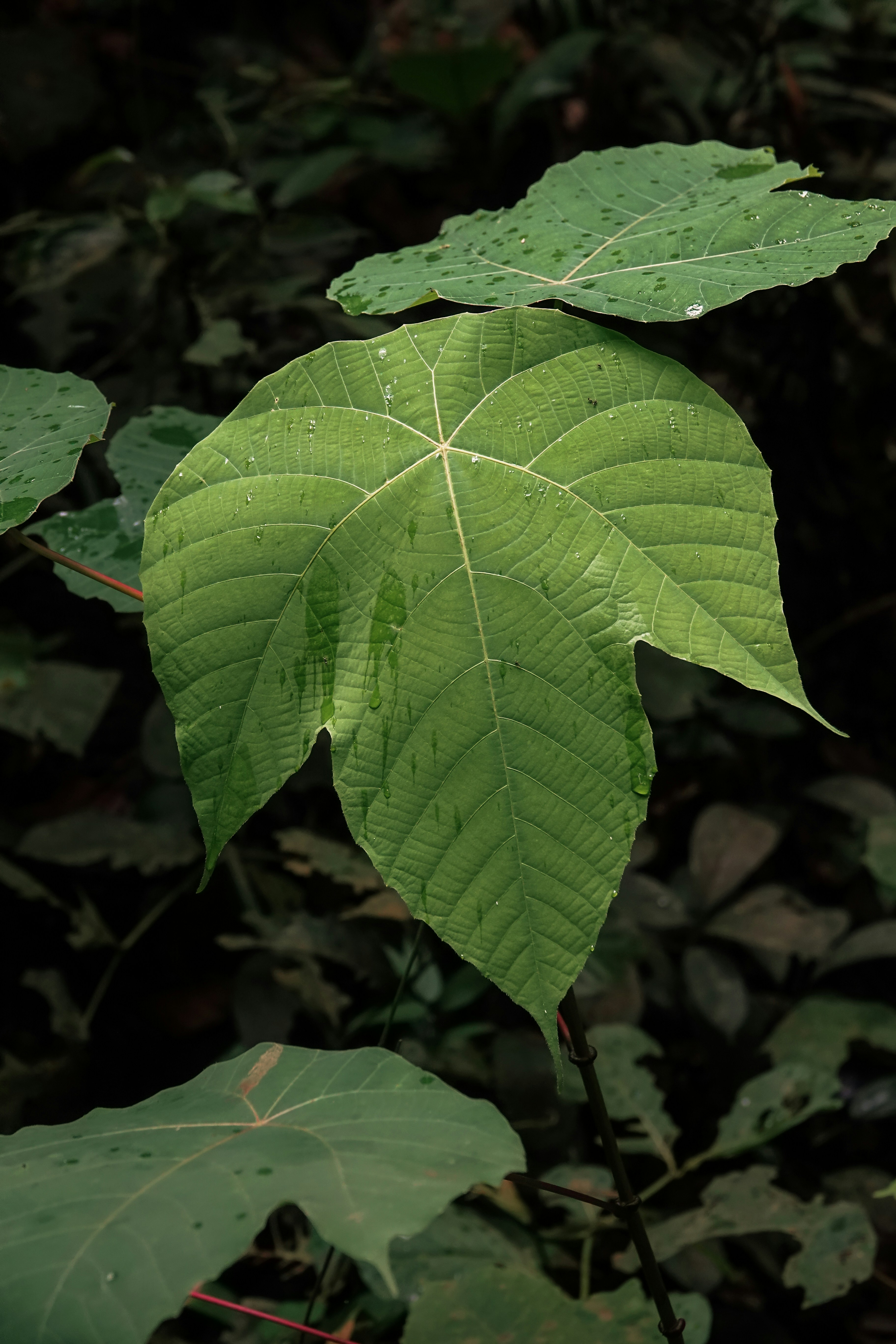 Photo by joylynn_goh