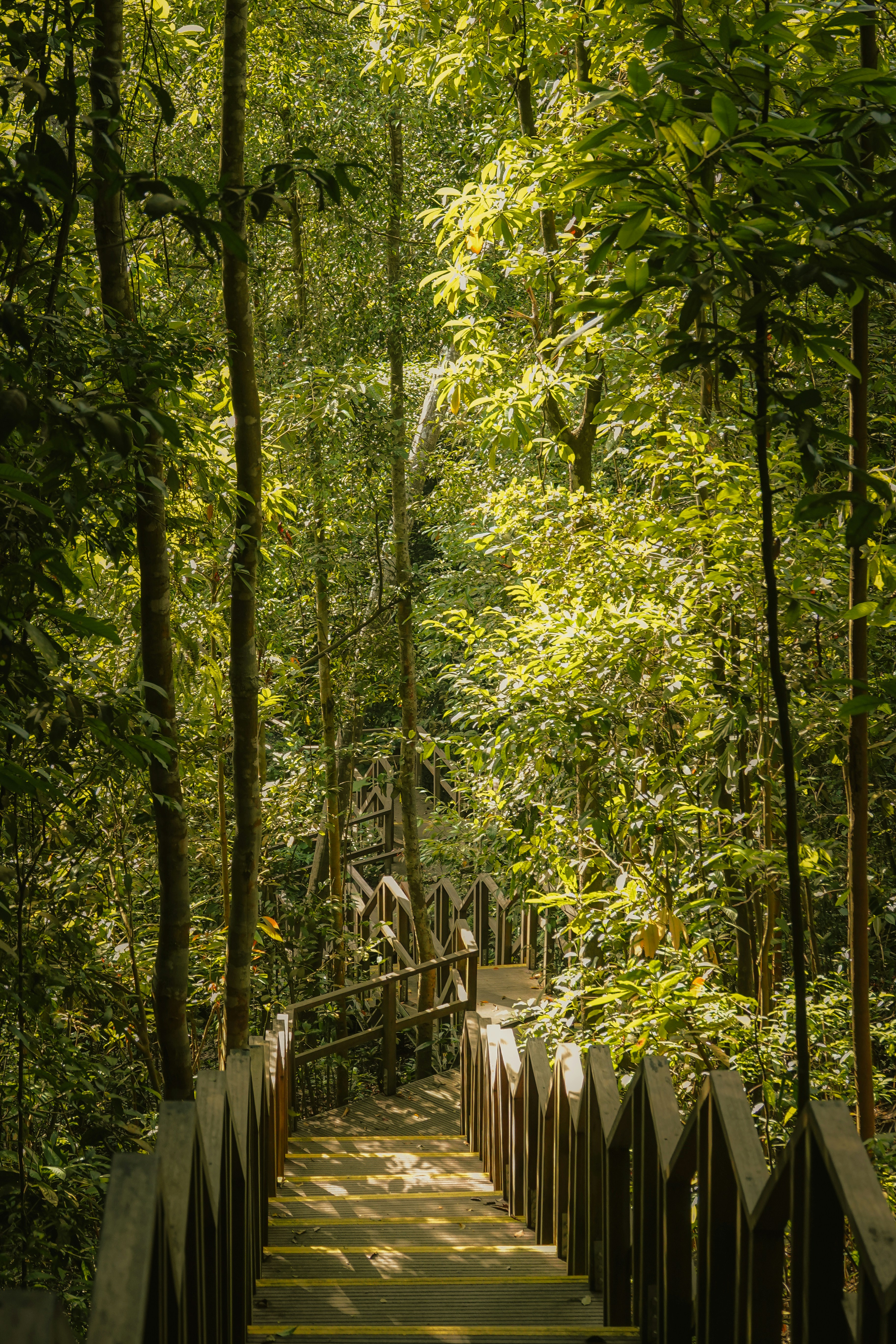 Photo by joylynn_goh