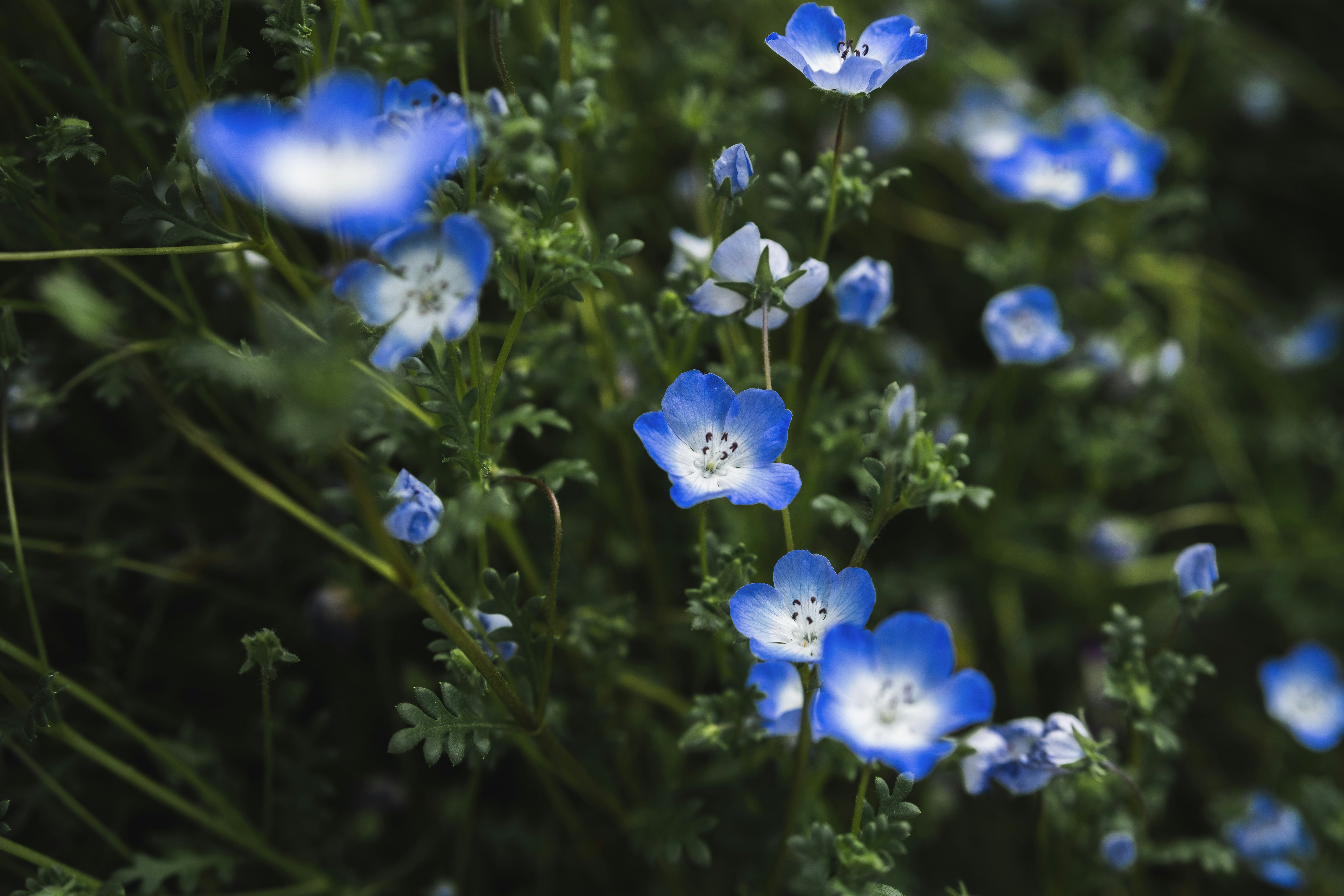 Photo by wenhao_ruan