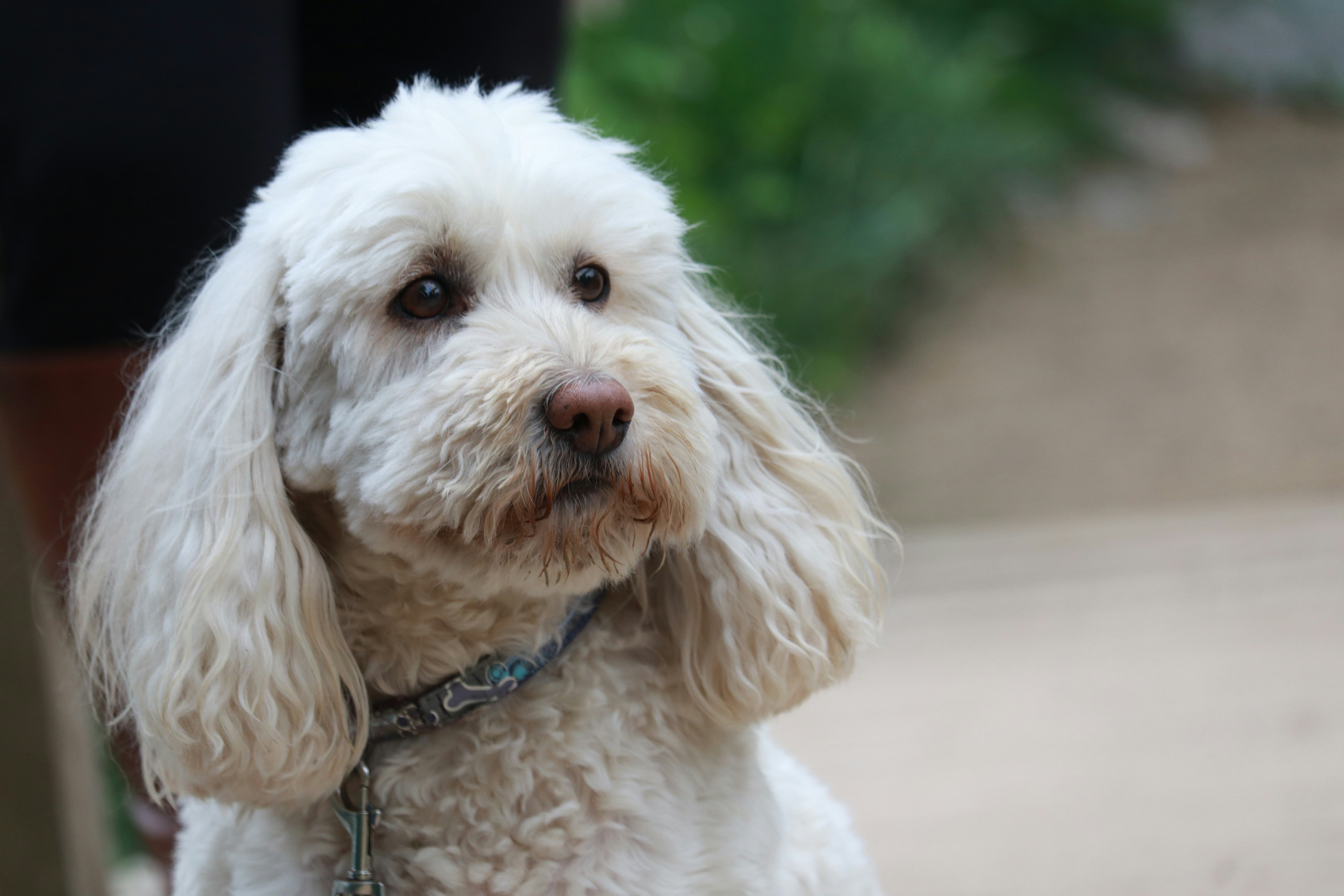 Photo by dhruv_padaliya