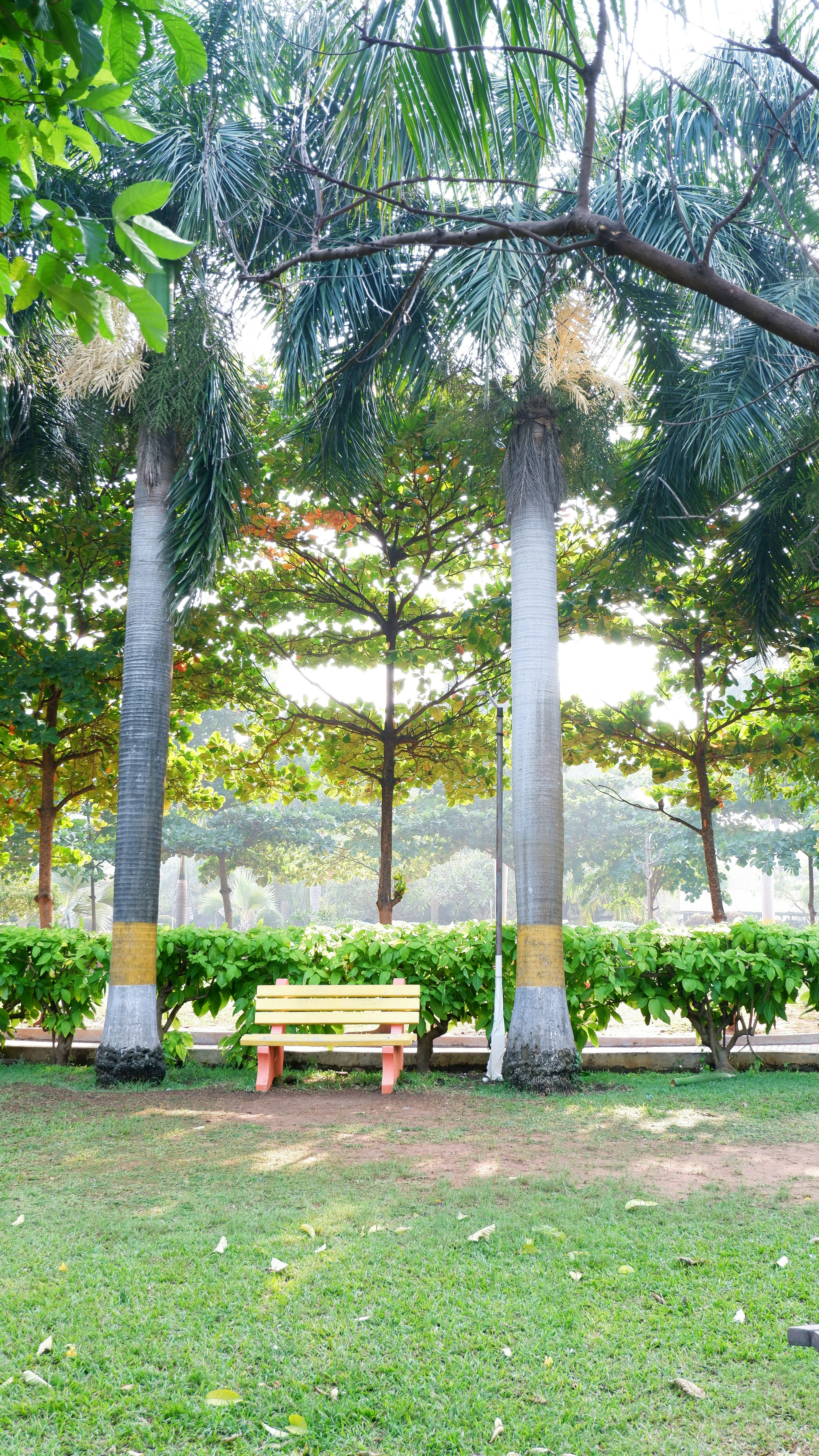 a couple of benches sitting in the middle of a park