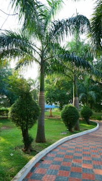 a brick path in the middle of a lush green park