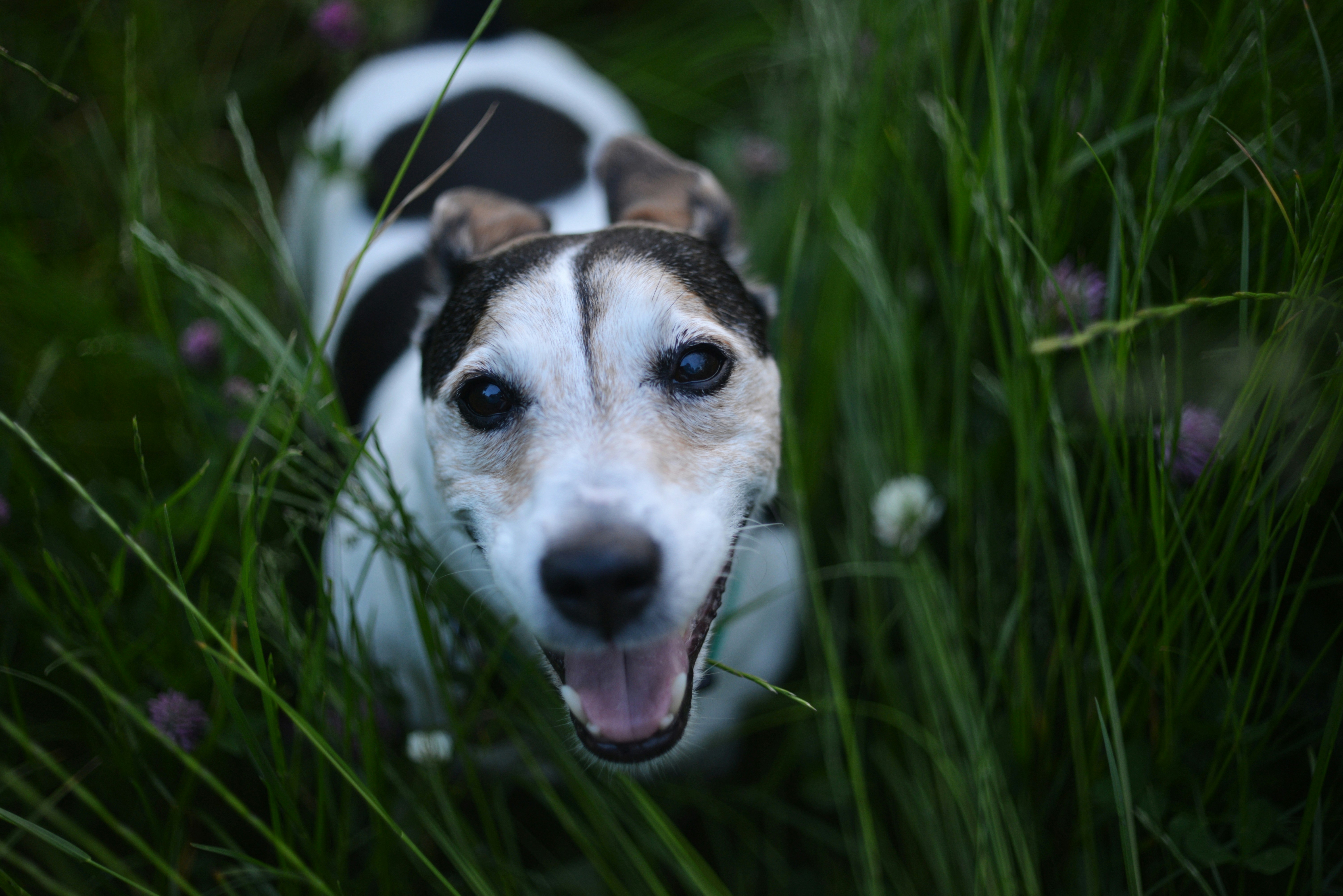 Photo by cherstve_pechivo