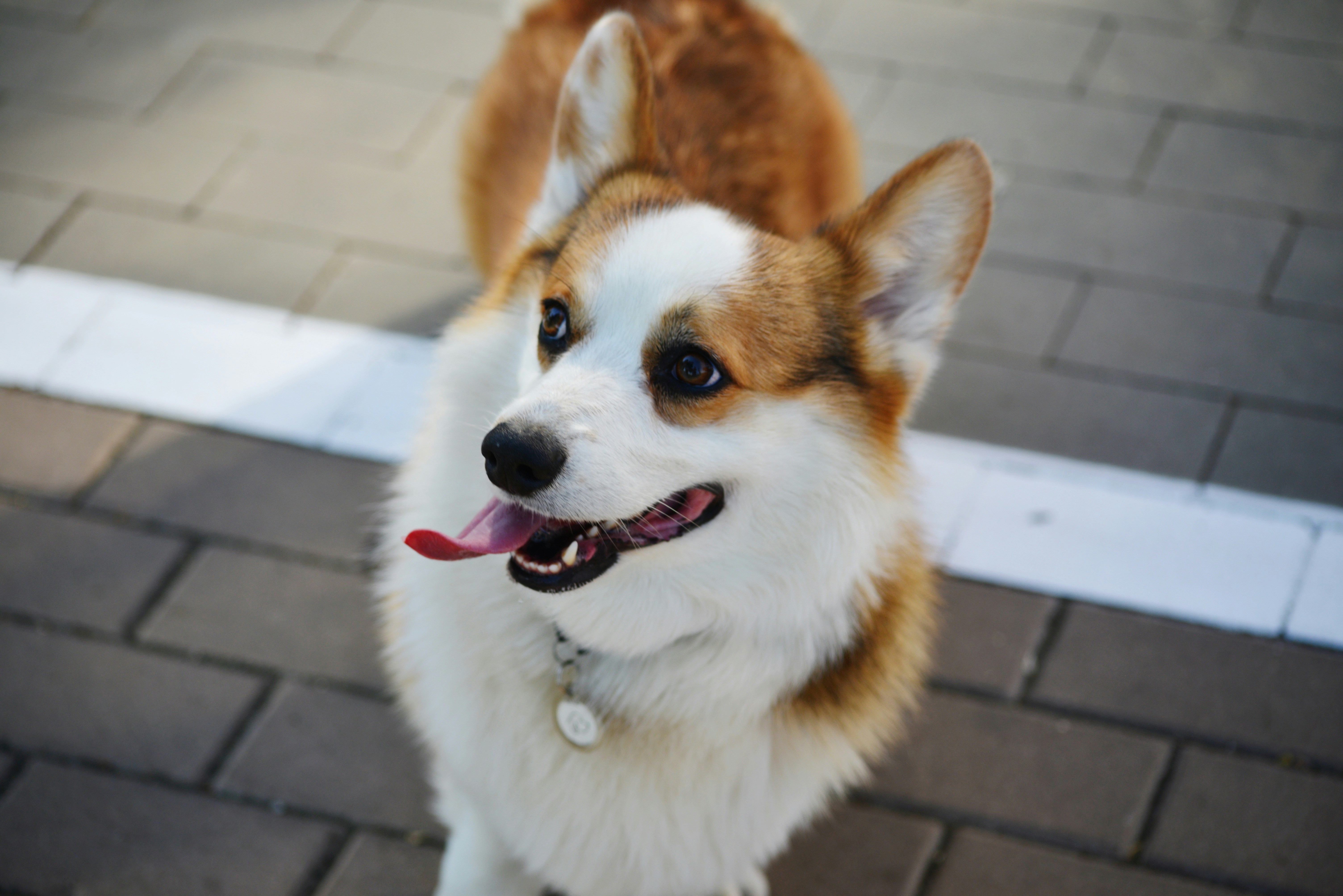 Photo by cherstve_pechivo