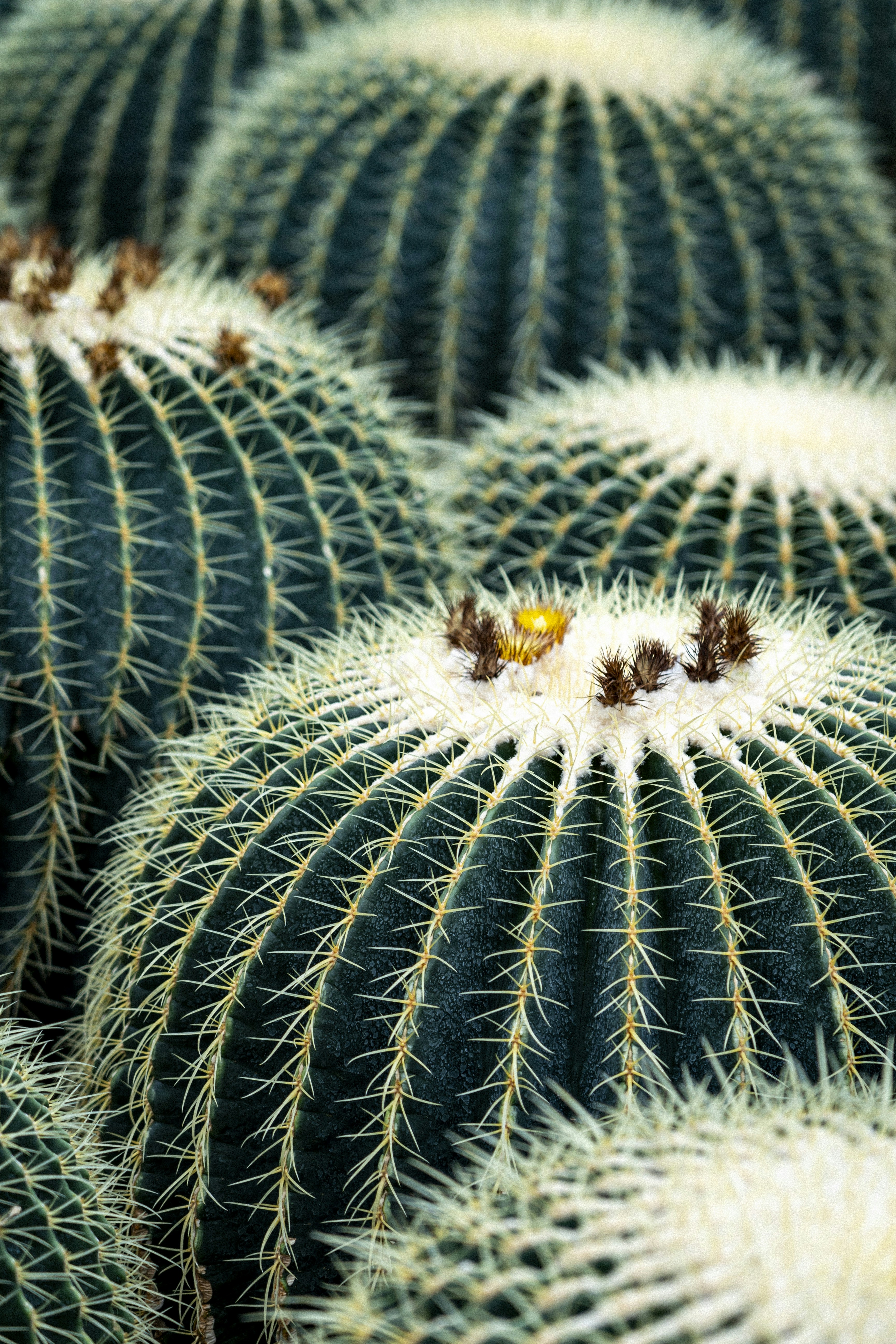 Kunming – Nightlife & Evening Culture