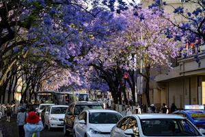 Kunming