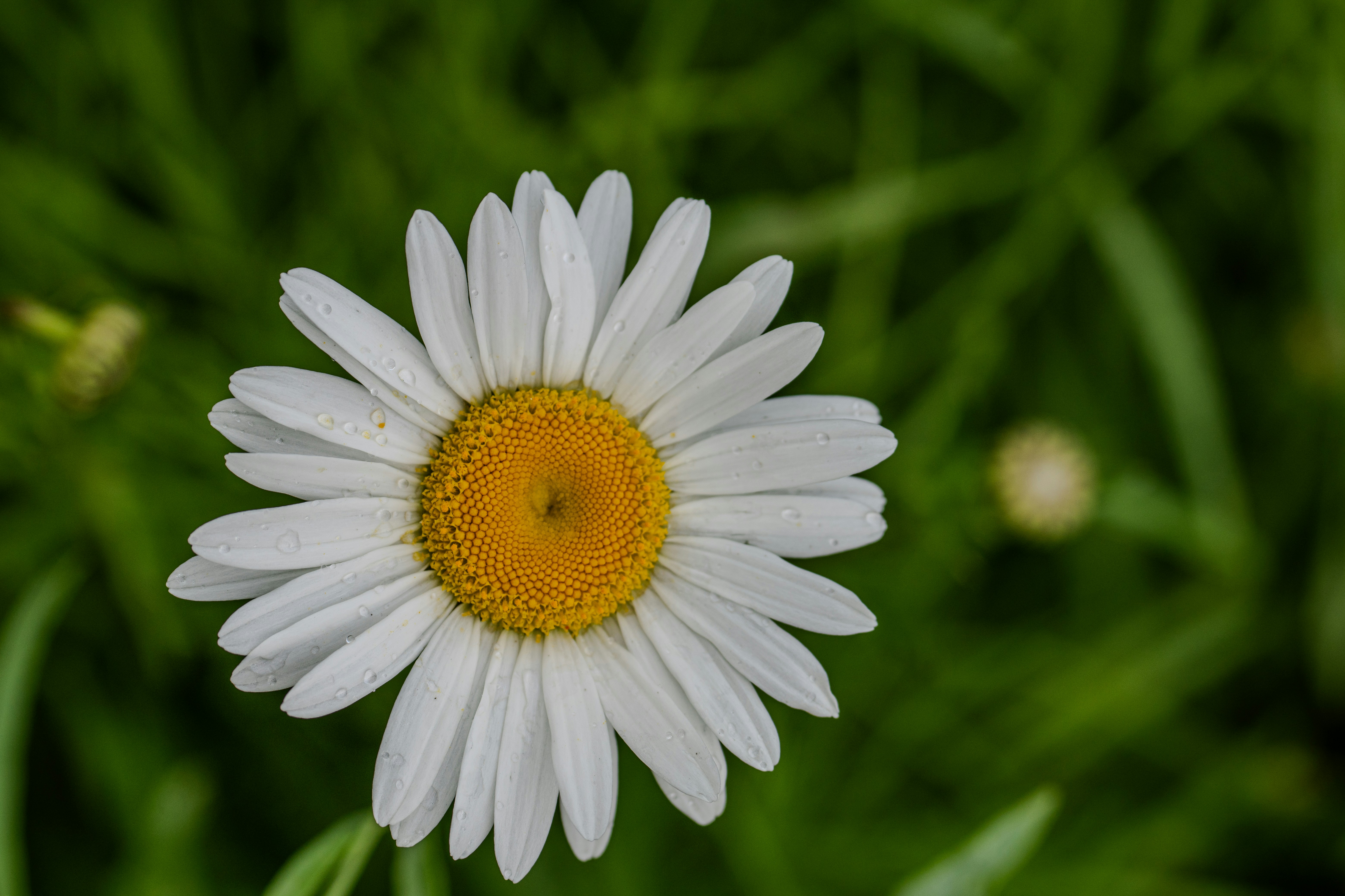 Photo by sajad_baharvandi