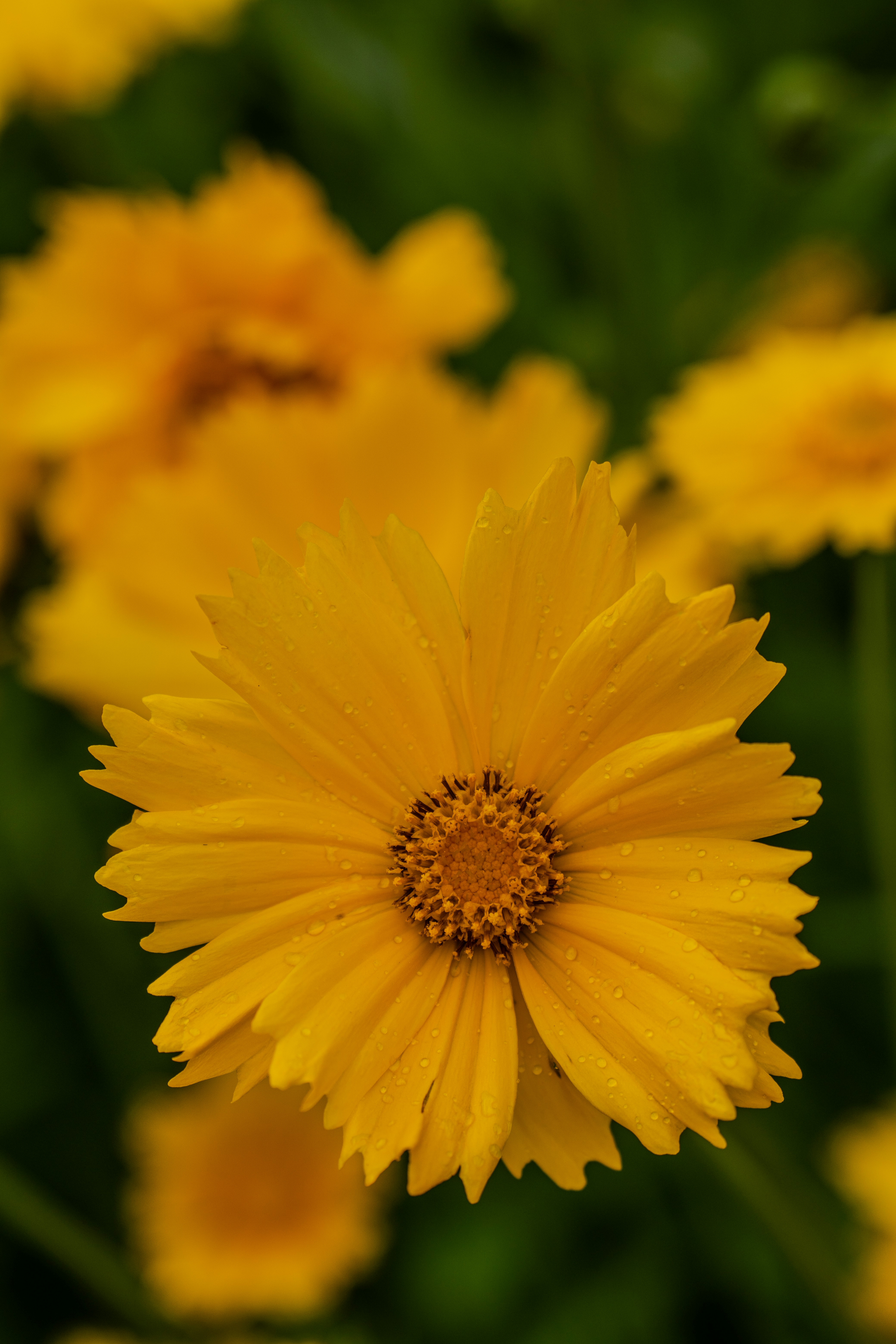 Photo by sajad_baharvandi