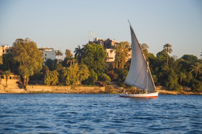 Nile Dinner Cruise with Live Entertainment