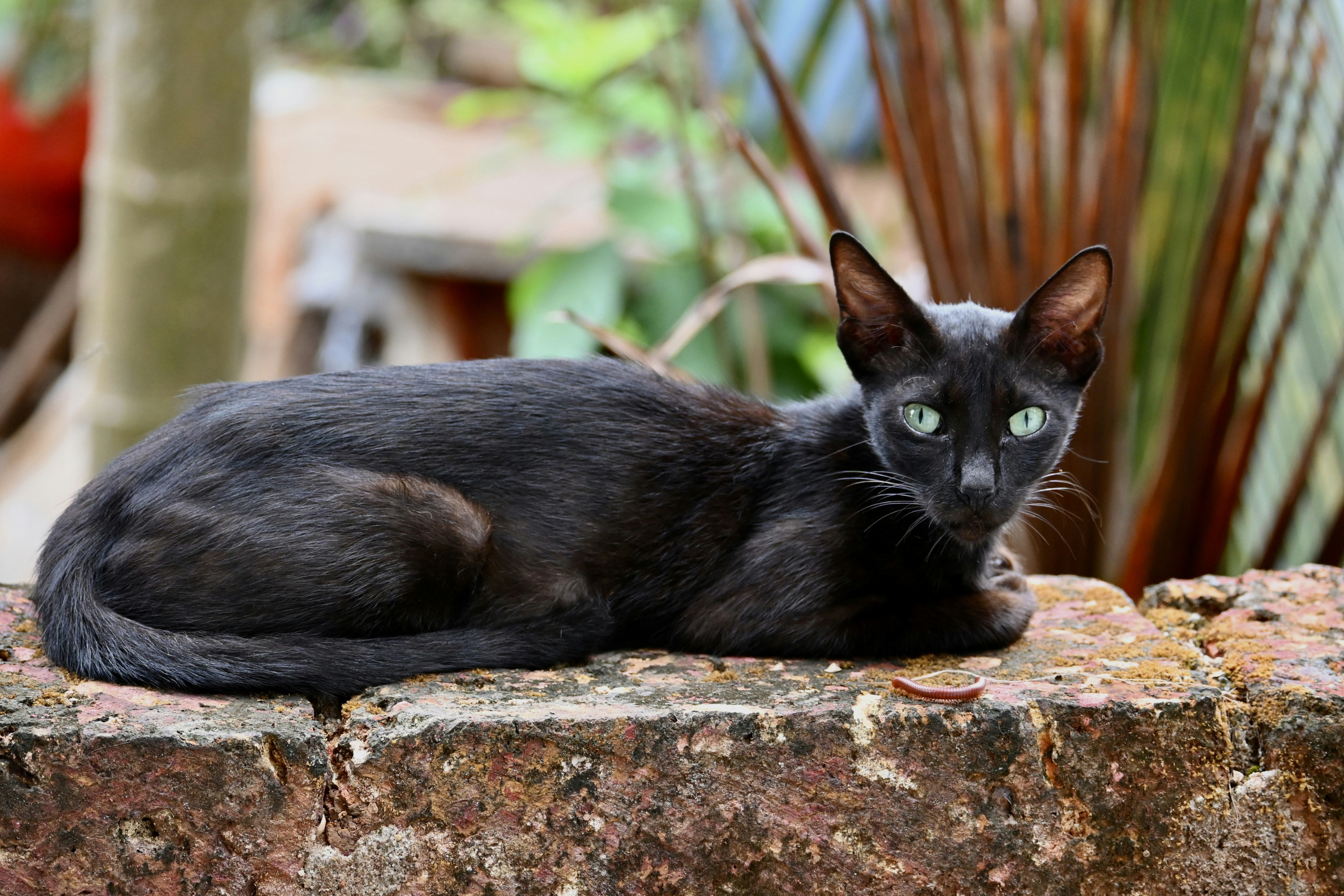 Photo by praswinprakashan