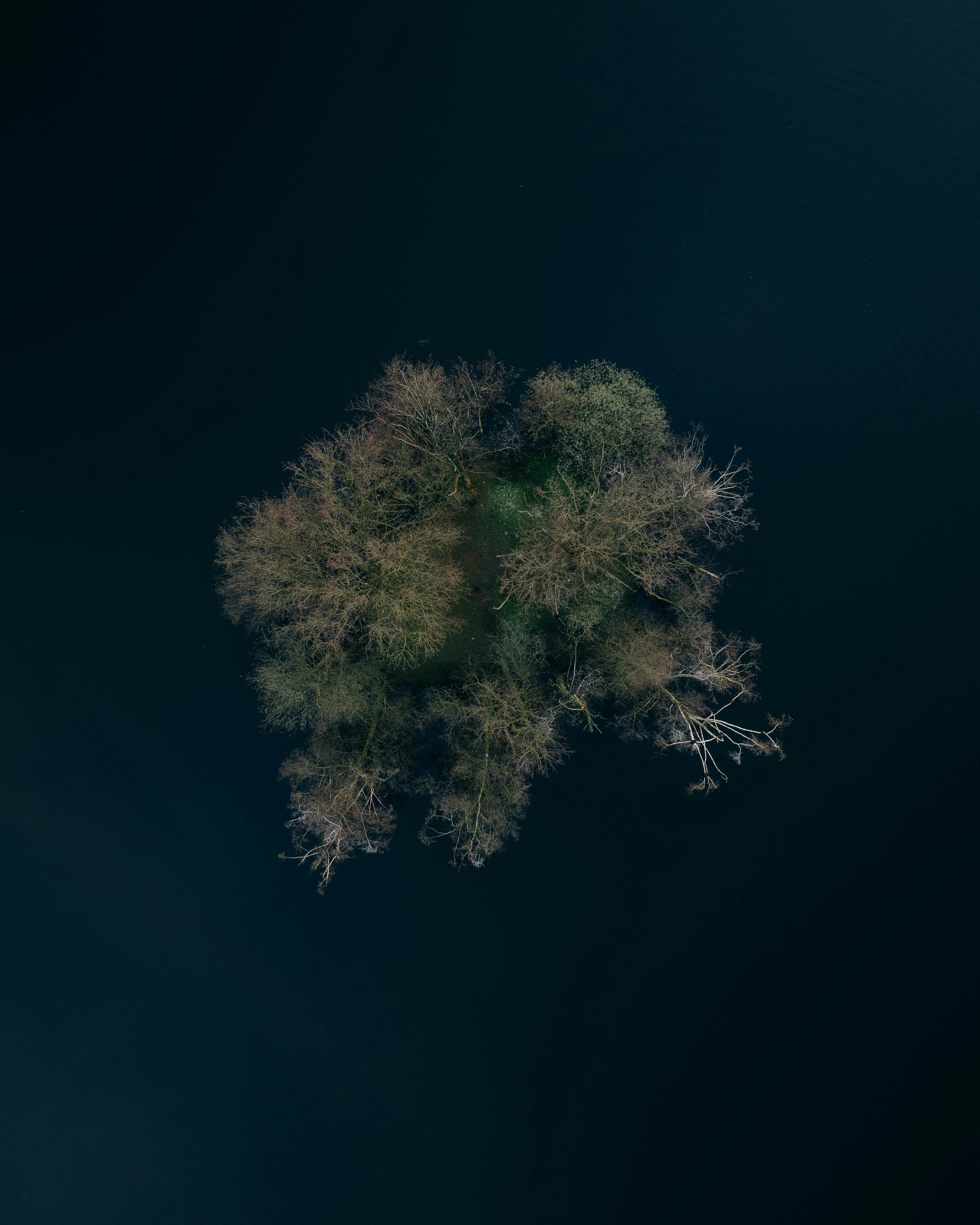 Photo by jordidriesen